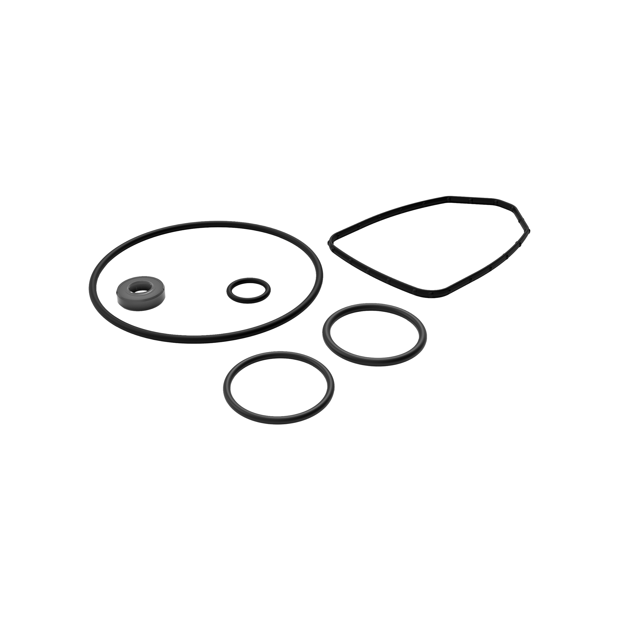 GPI Replacement Seal Kit for G20 Fuel Transfer Pumps, Model# G20