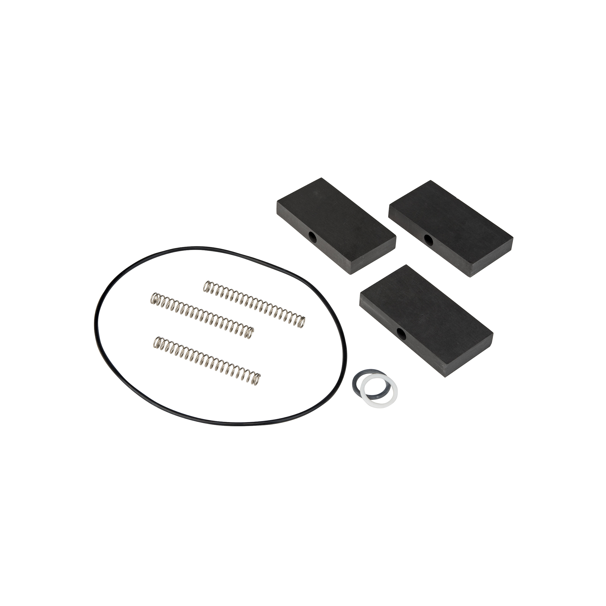 GPI Rebuild Kit for RP-10 Rotary Hand Pump — Vanes, Springs, O-Rings, Gasket, Model# RP-10