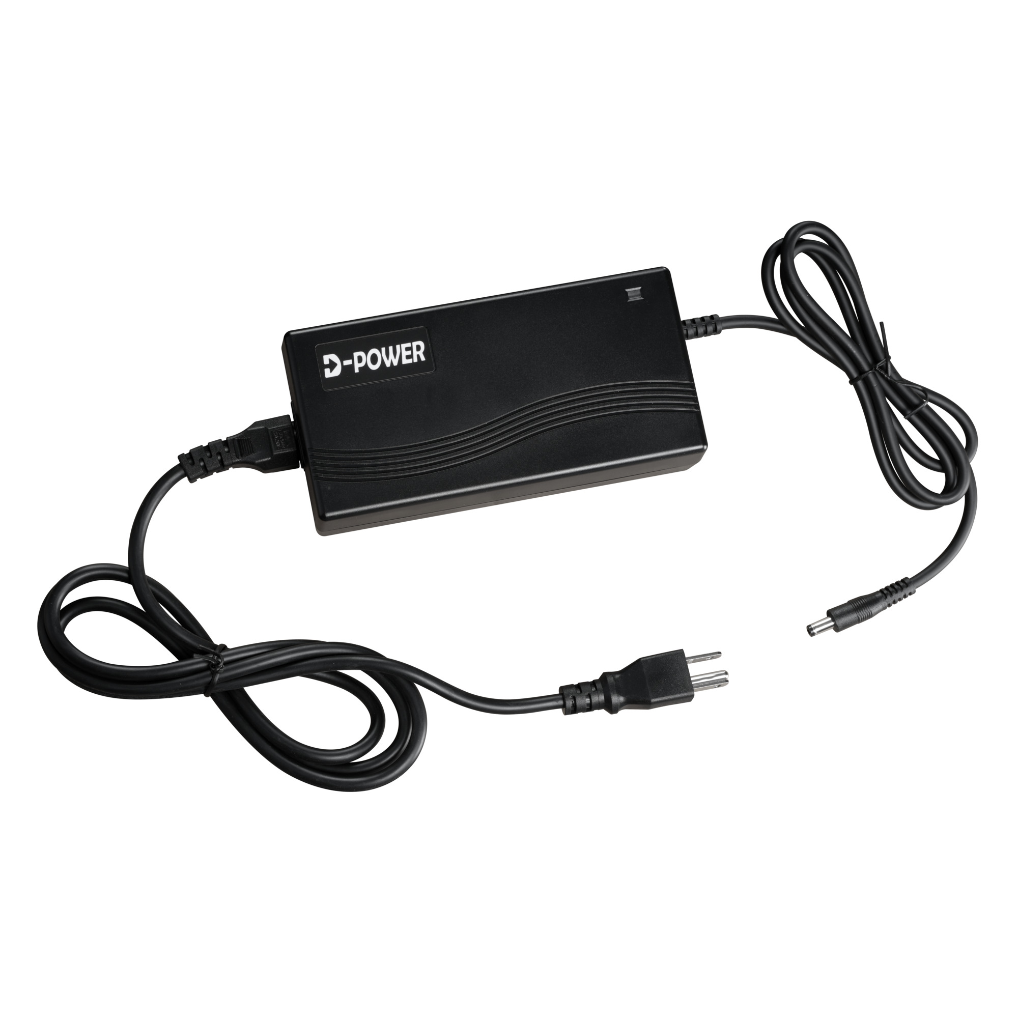 Young Electric E-Daily Faster Charger — Model# 22802011010