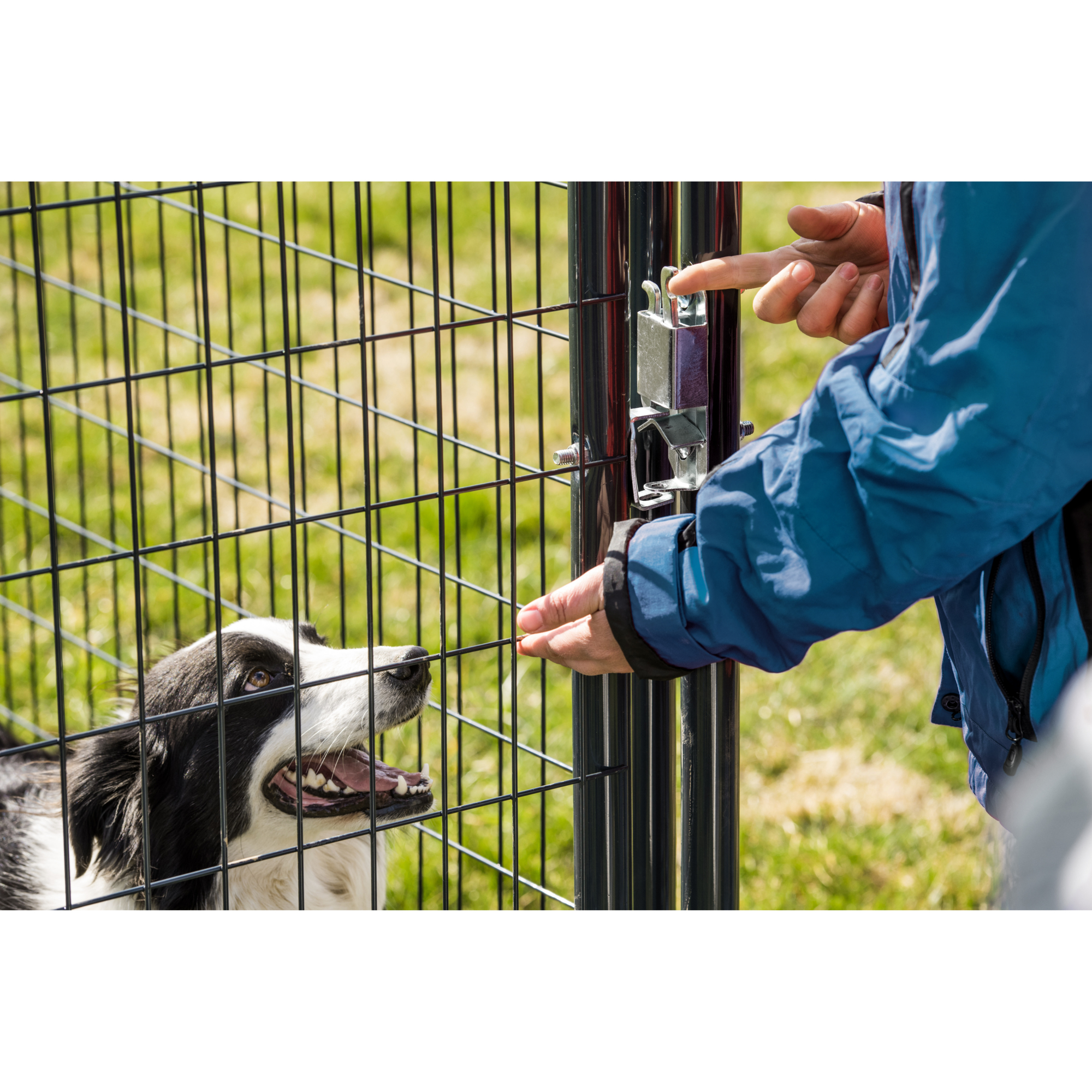 Tractor Supply Tarter Kennel Tarter 10 X 10 X Elite Heavy-Duty