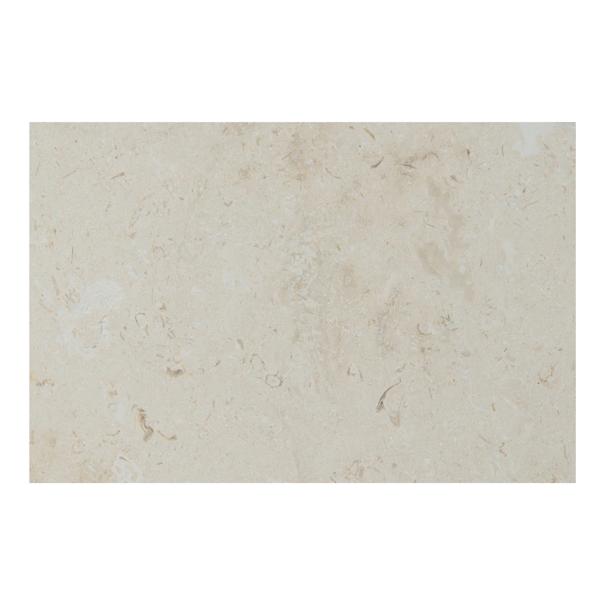 Ackland Tavina Mist Limestone Pool Coping — 16in. x 24in., Honed, Eased Edge, Model# NTE-LSC-105