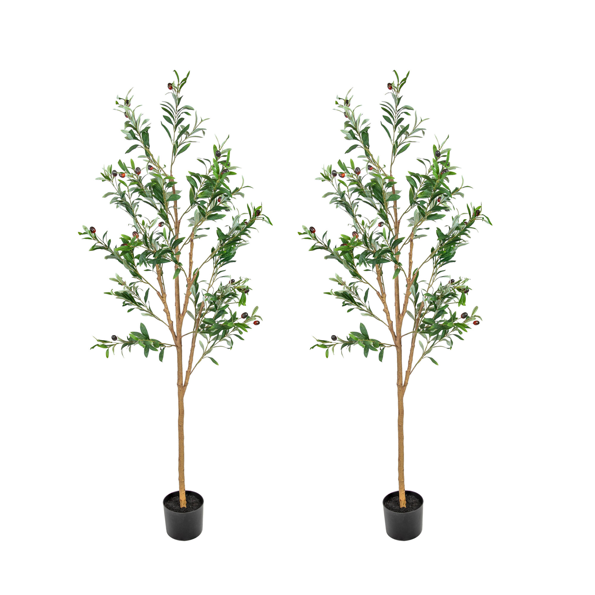 Sunnydaze Decor Artificial Olive Tree — 5ft., Faux Silk Plant, Black Planter Base, 2 Pk, Model# QCW-3592