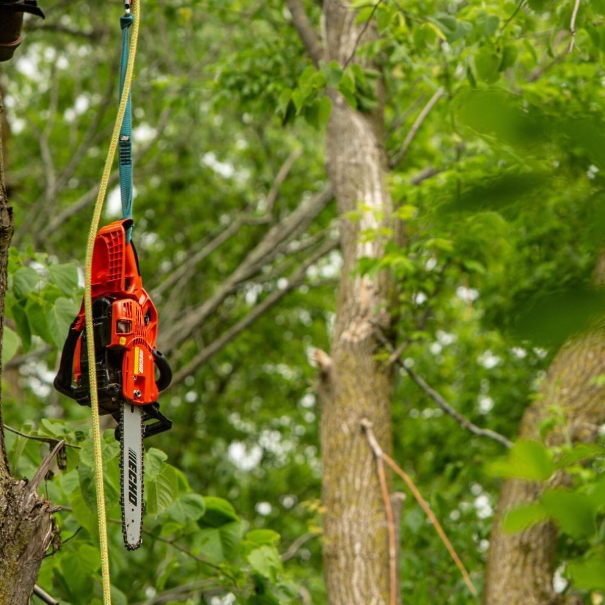 ECHO X Series, Gas-Powered Rear Handle Lightweight Chainsaw, Bar