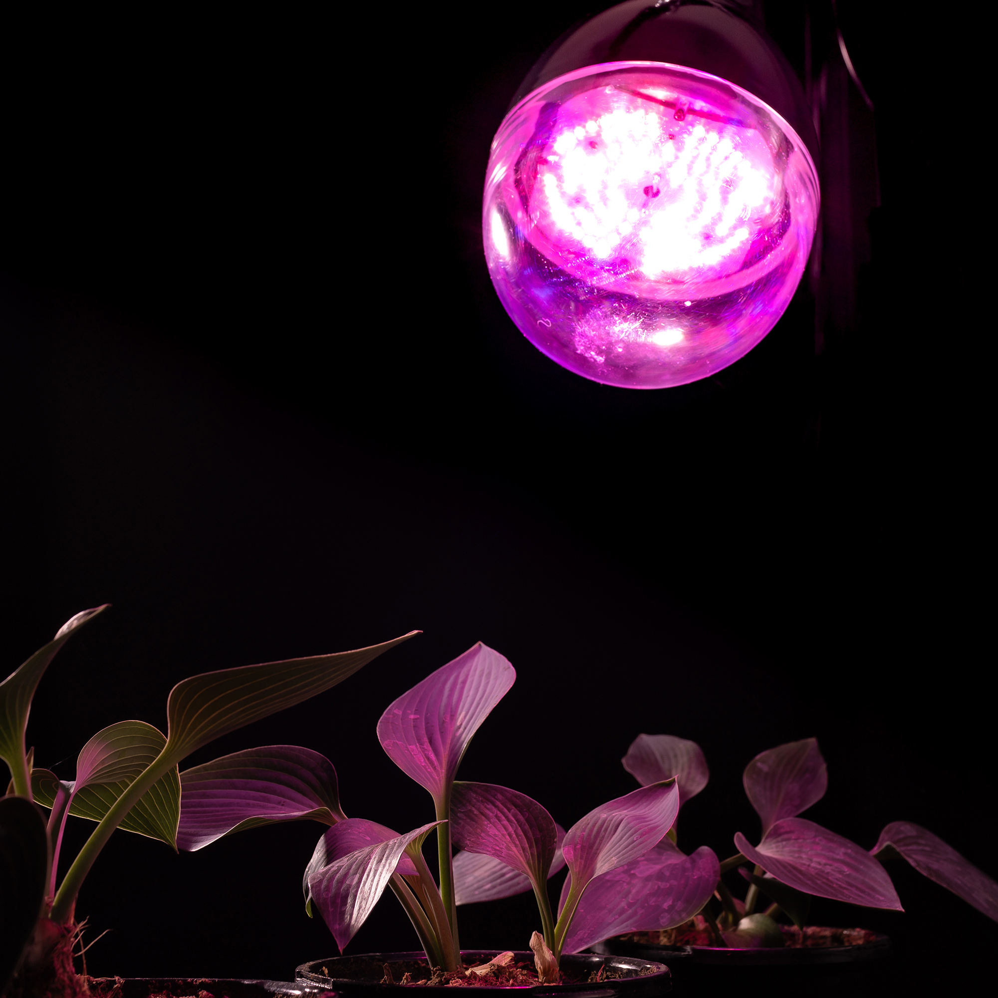 thumbnail 5 of 6