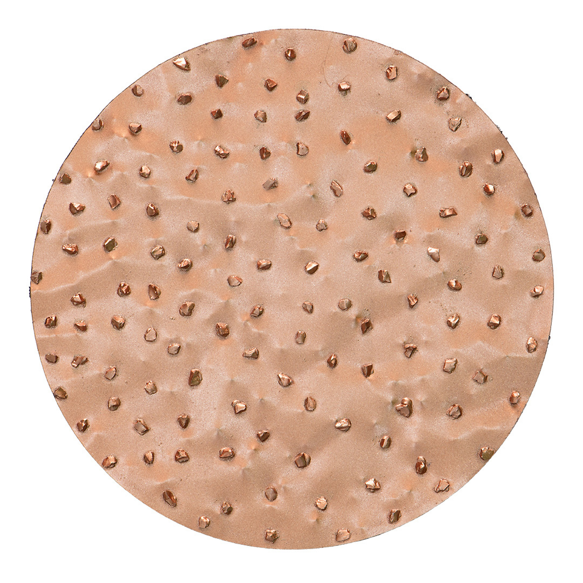 Rokamat Hard Metal Rasping Disc — 7.87in. Diameter, Coarse Grit, Compatible with Chameleon Tool, Model# RKT22905