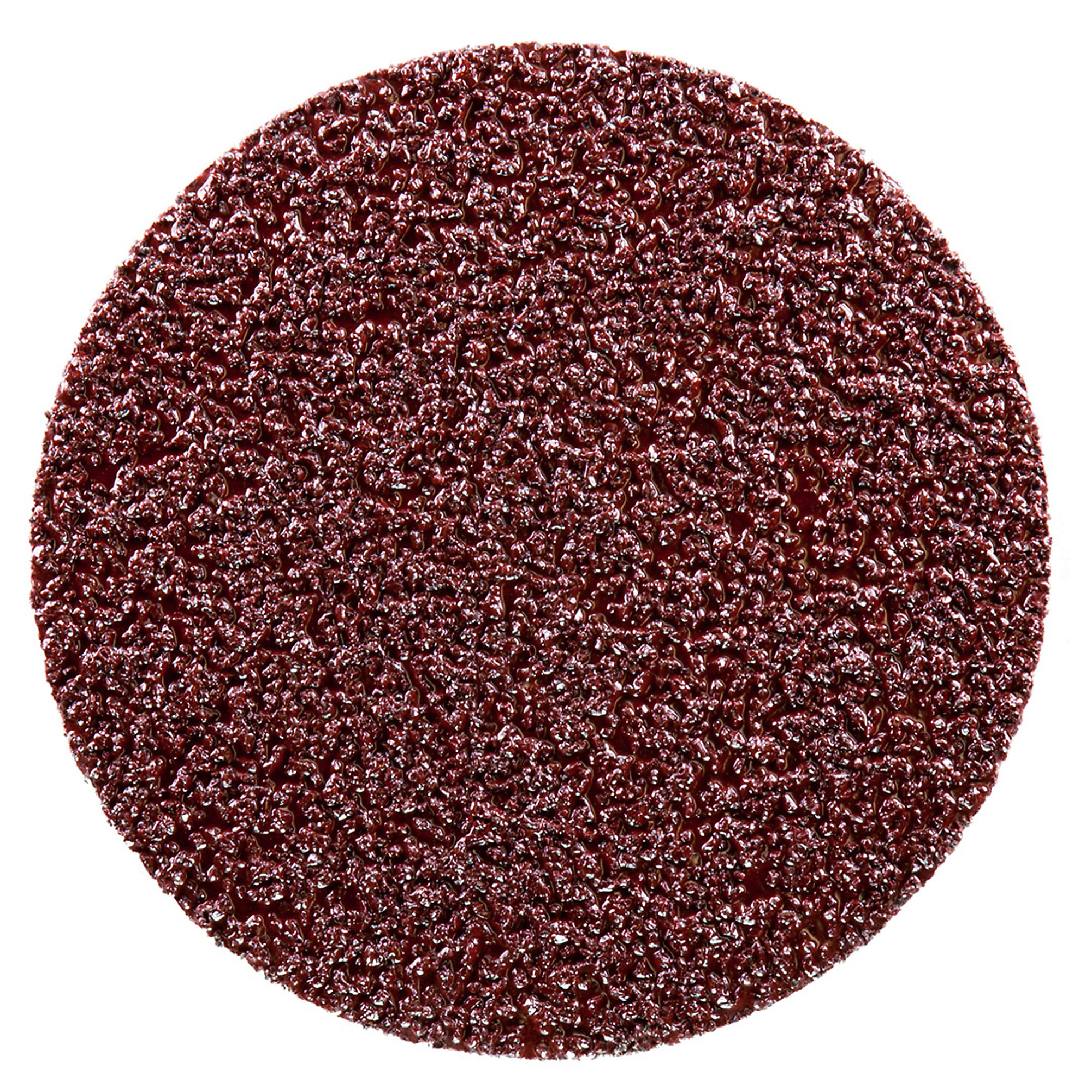 Rokamat Sanding Discs for Chameleon Tool — 16 Grit, 4 Pcs, Model# RKT20816
