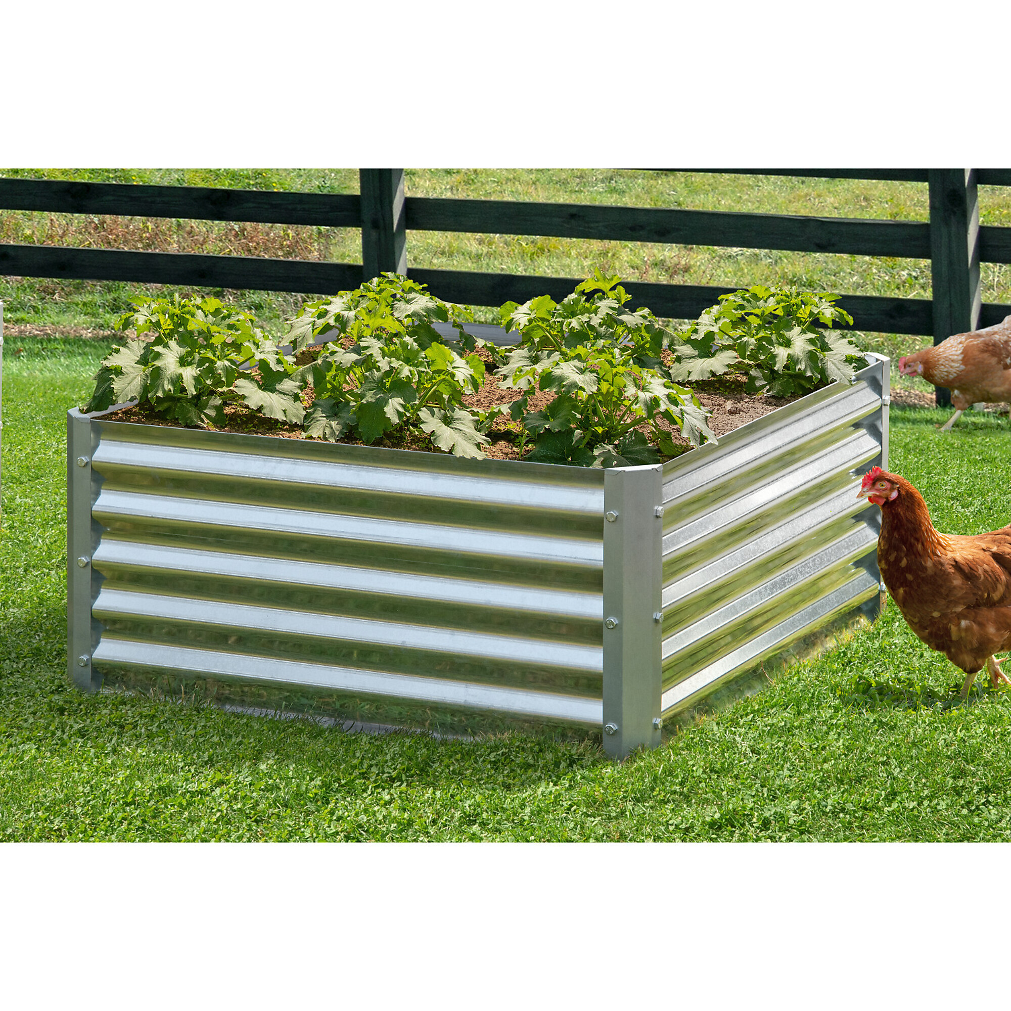 Arrow Grow It Raised Bed Garden — 36in. x 36in. x 17in., Galvanized Steel, Model# RBG353517