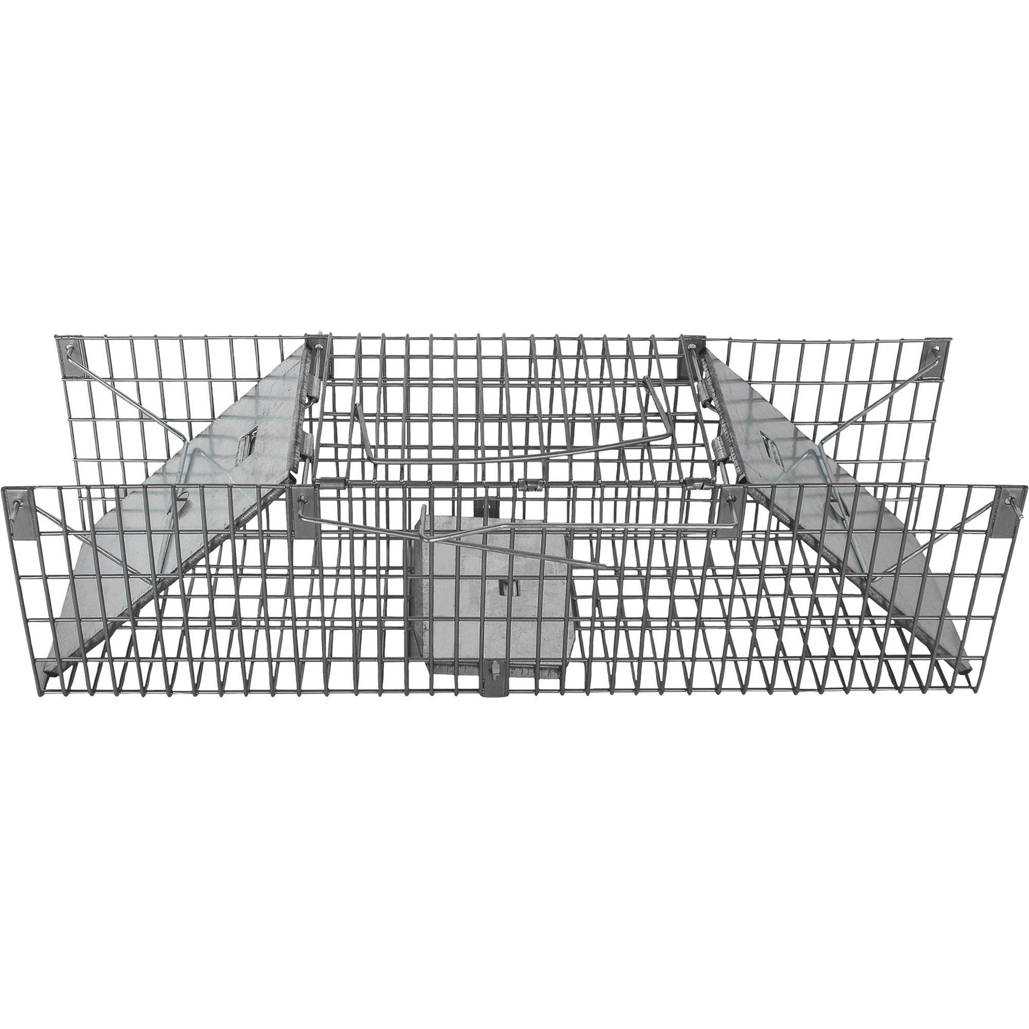 2/4x Humane Mouse Rat Traps Rodent Trap Live Catch Cage, Safe for