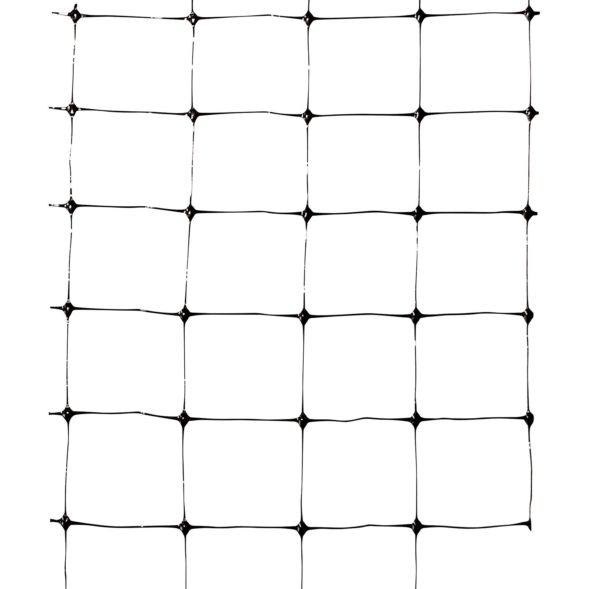 Poly Bird Net Bird-X Poly Bird Netting — 14Ft. x 100Ft., Model# NET-STD-100-14 ...