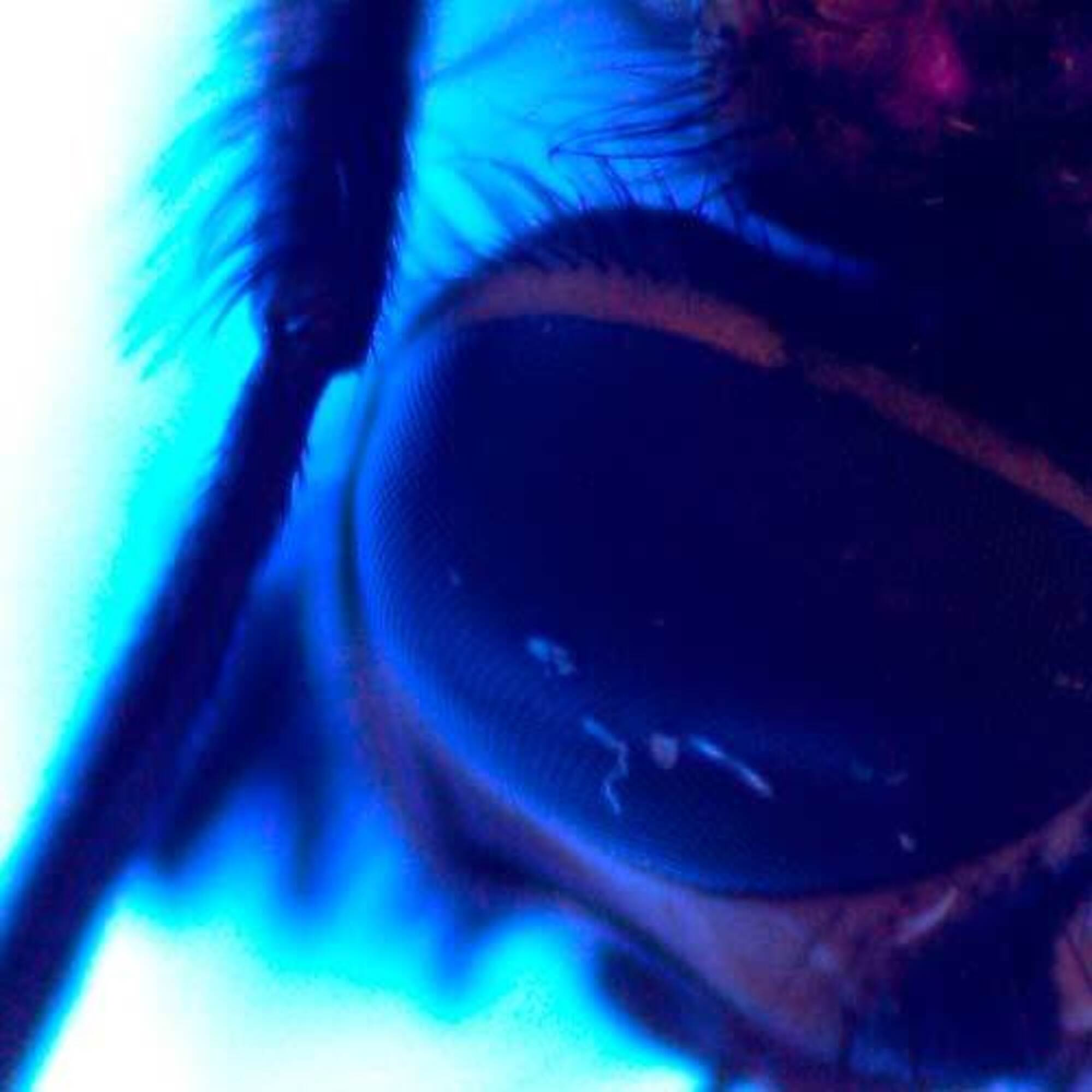 thumbnail 3 of 5