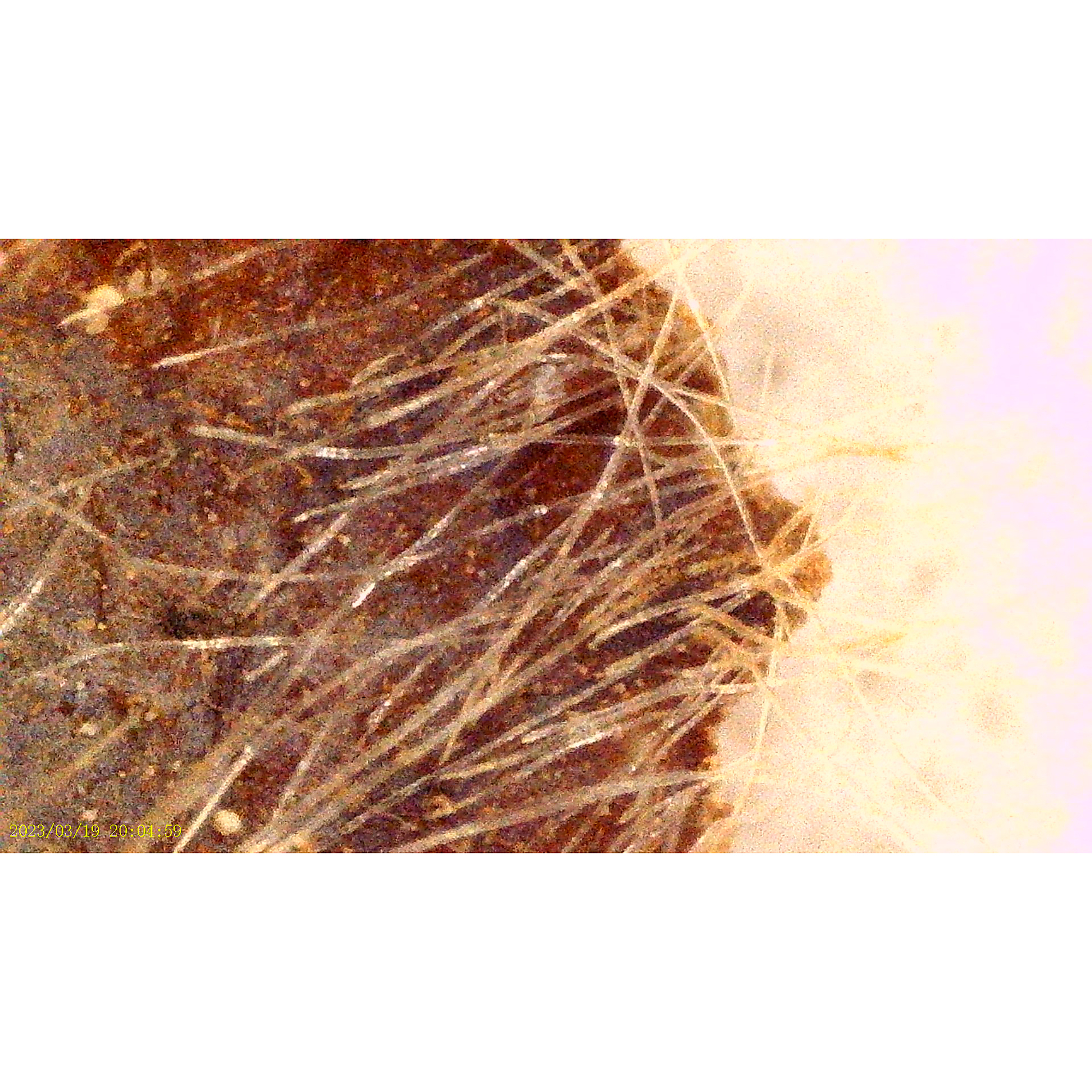 thumbnail 5 of 7