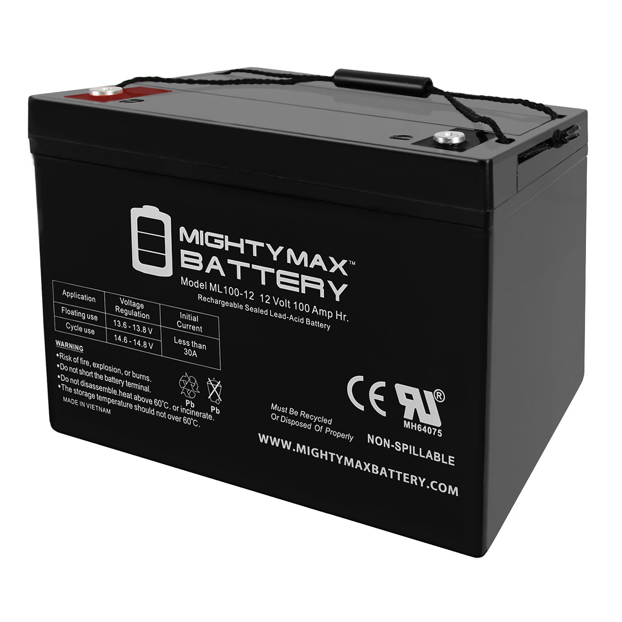 Mighty Max Rechargeable SLA AGM Battery — 12 Volt, 100Ah, Internal Thread Terminal, Pack of 2, Model# MAX4063305