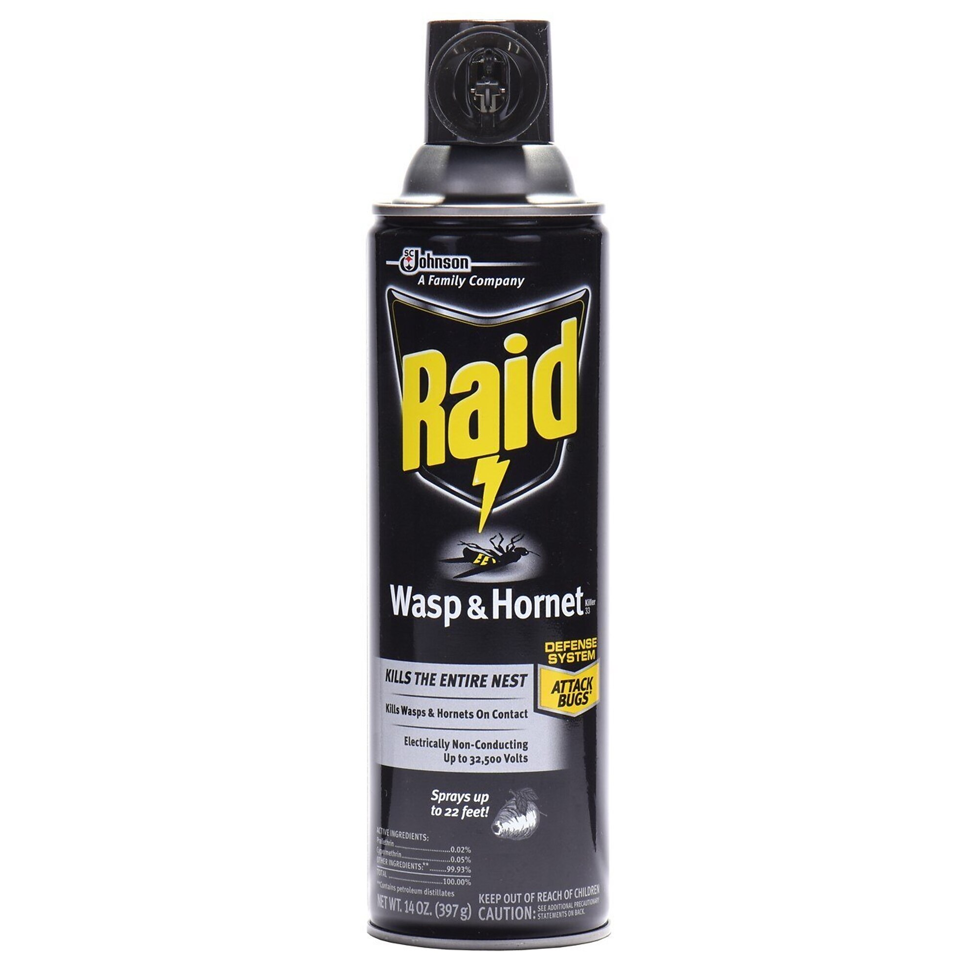 Raid Wasp & Hornet Killer Aerosol Spray — 14 Oz., 12-Pk., Model# SCJ668006