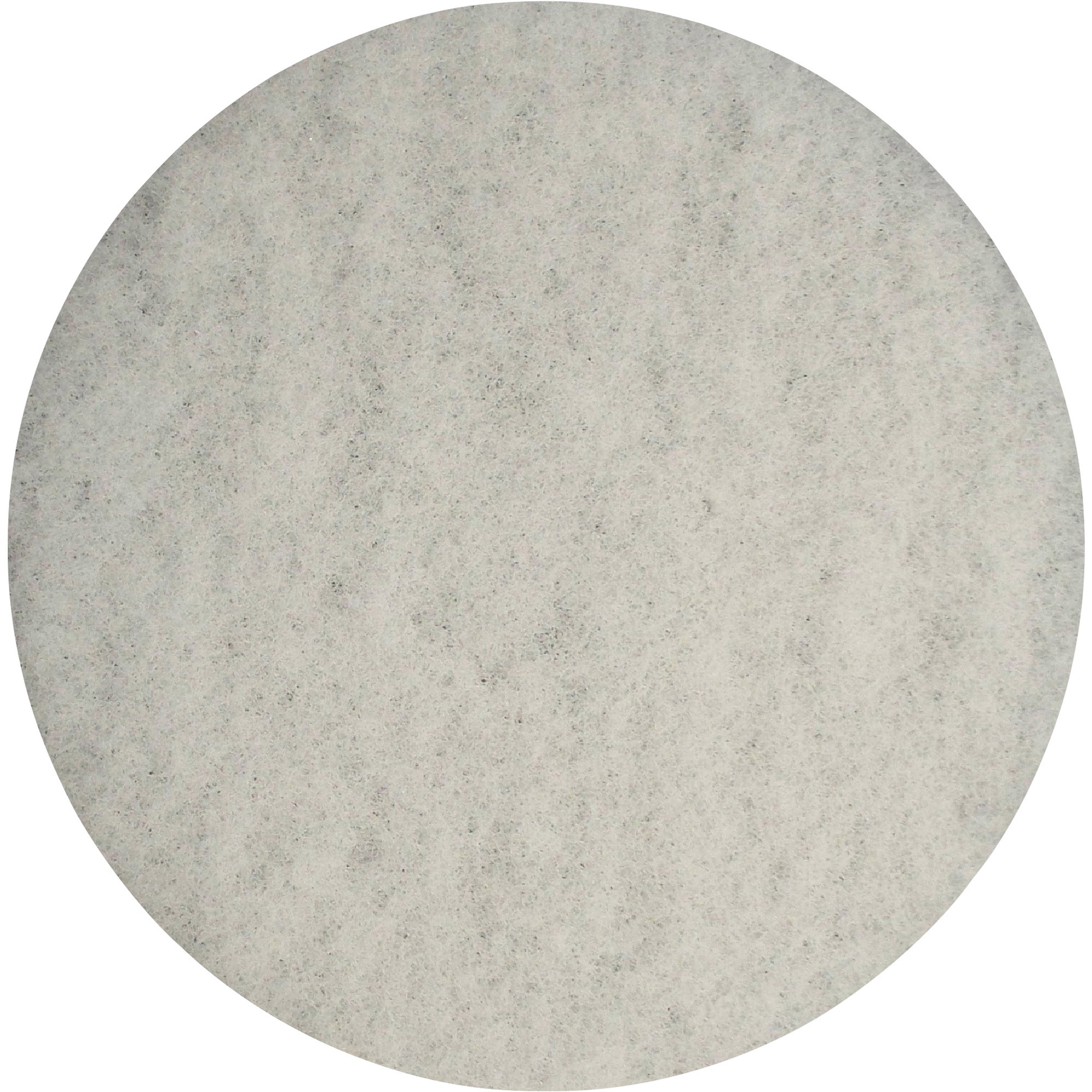 Bissell Big Green Commercial Vacuum Polish Pad, White, 10 1/2in., Model# 437.051