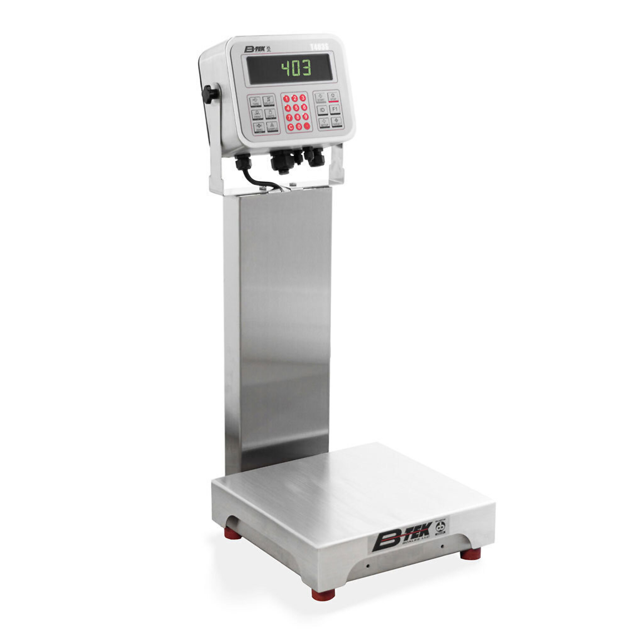B-TEK 12x12 100lb Bench Scale & Indicator Package. General, Count and Check Weighing Stainless Washdown