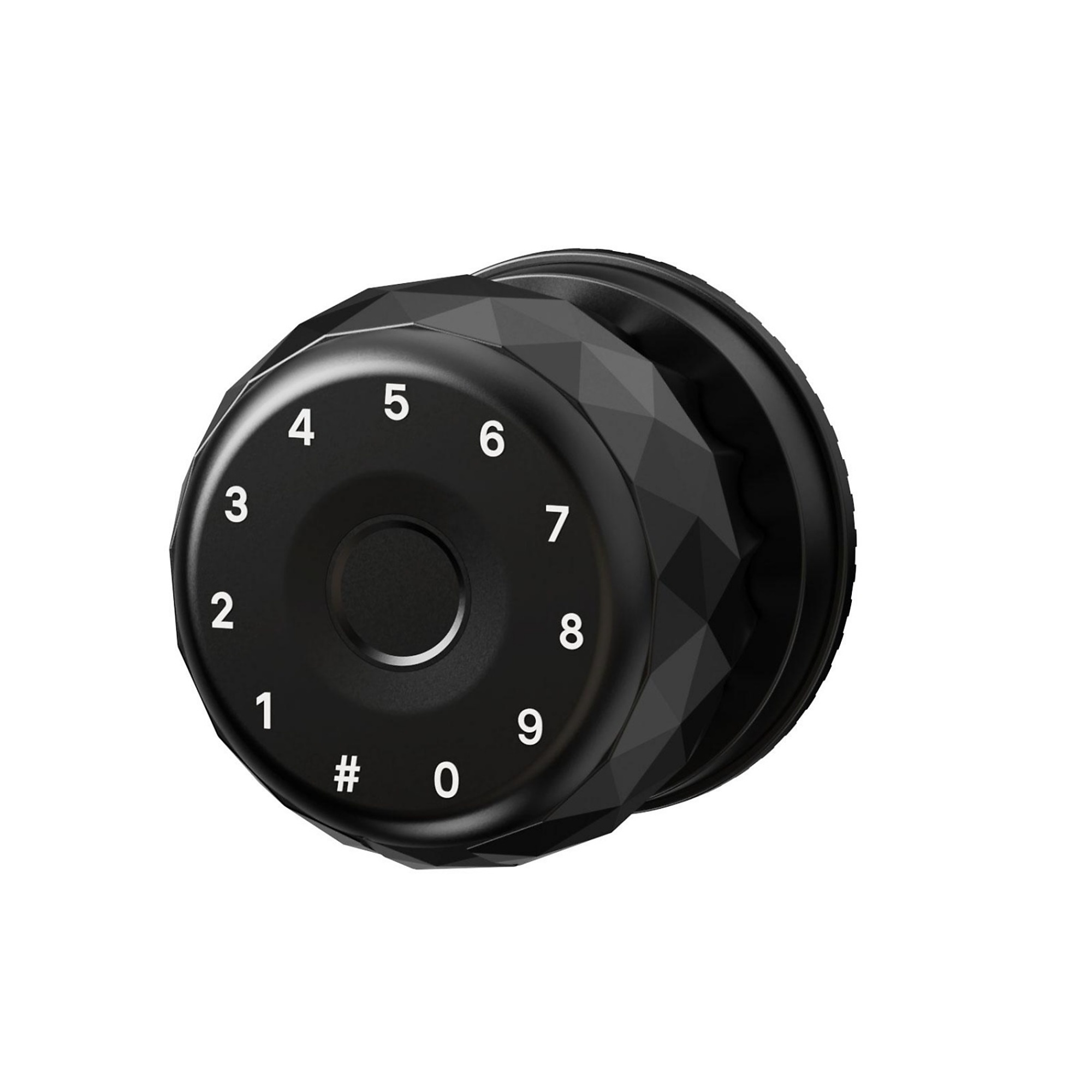 4 in 1 Corded Aluminum Smart Lock Deadbolt with APP, Biometric, Code, Keys Door Lock with Handle in Black