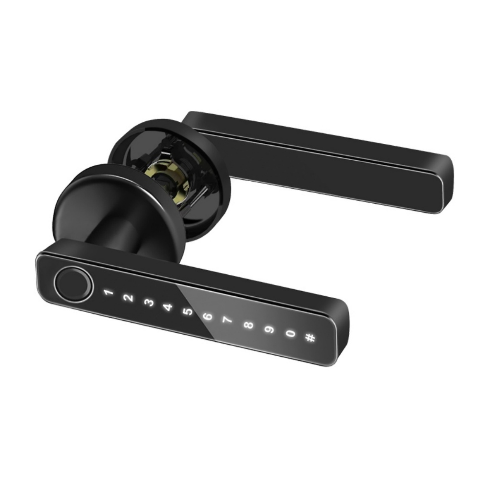 Aluminum Smart Door Lock in Black with 360° Fingerprint Recognition Support and APP Control