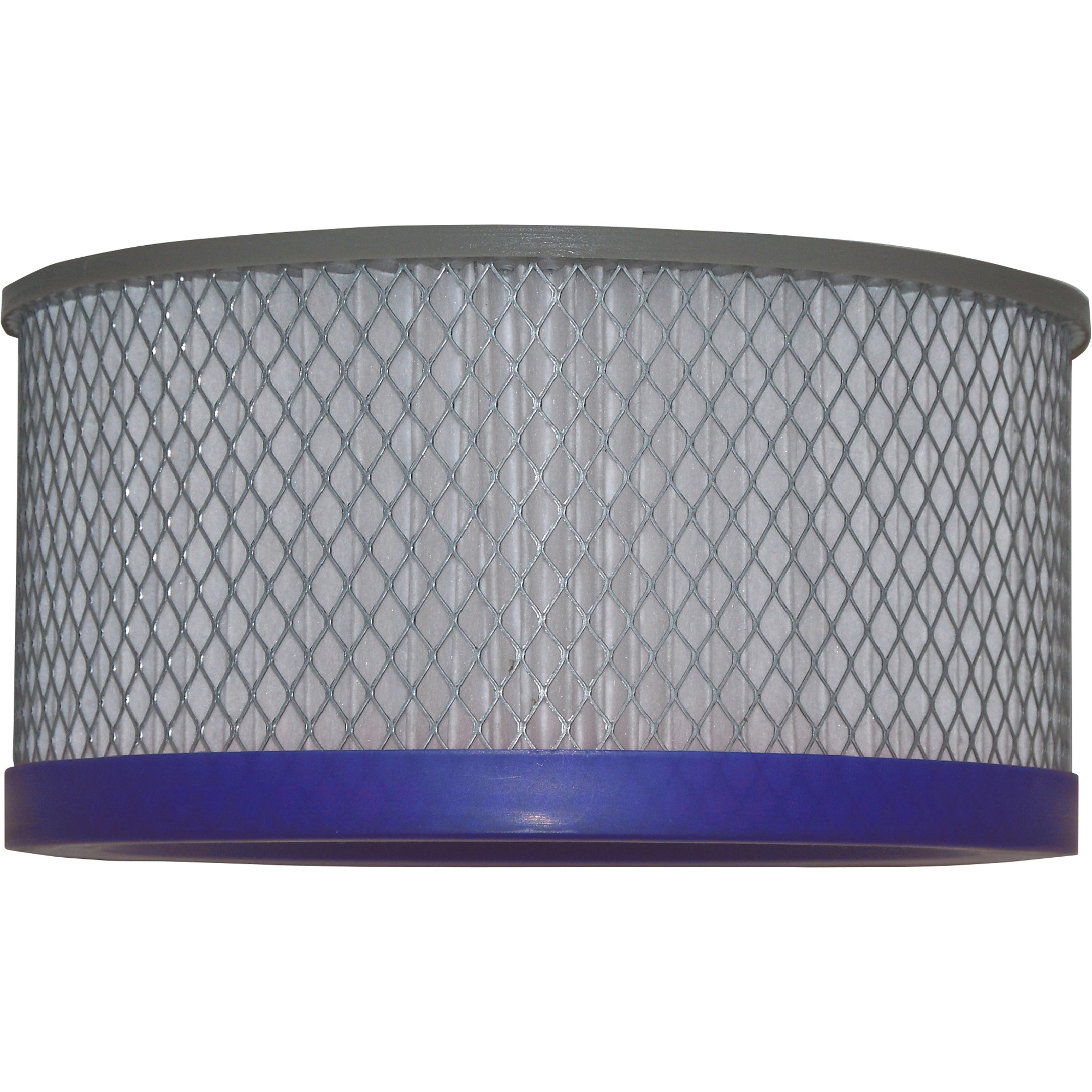 Bissell Big Green Commercial Vacuum  Replacement ULPA Motor Filter, Blue, Model# ULPACART-09