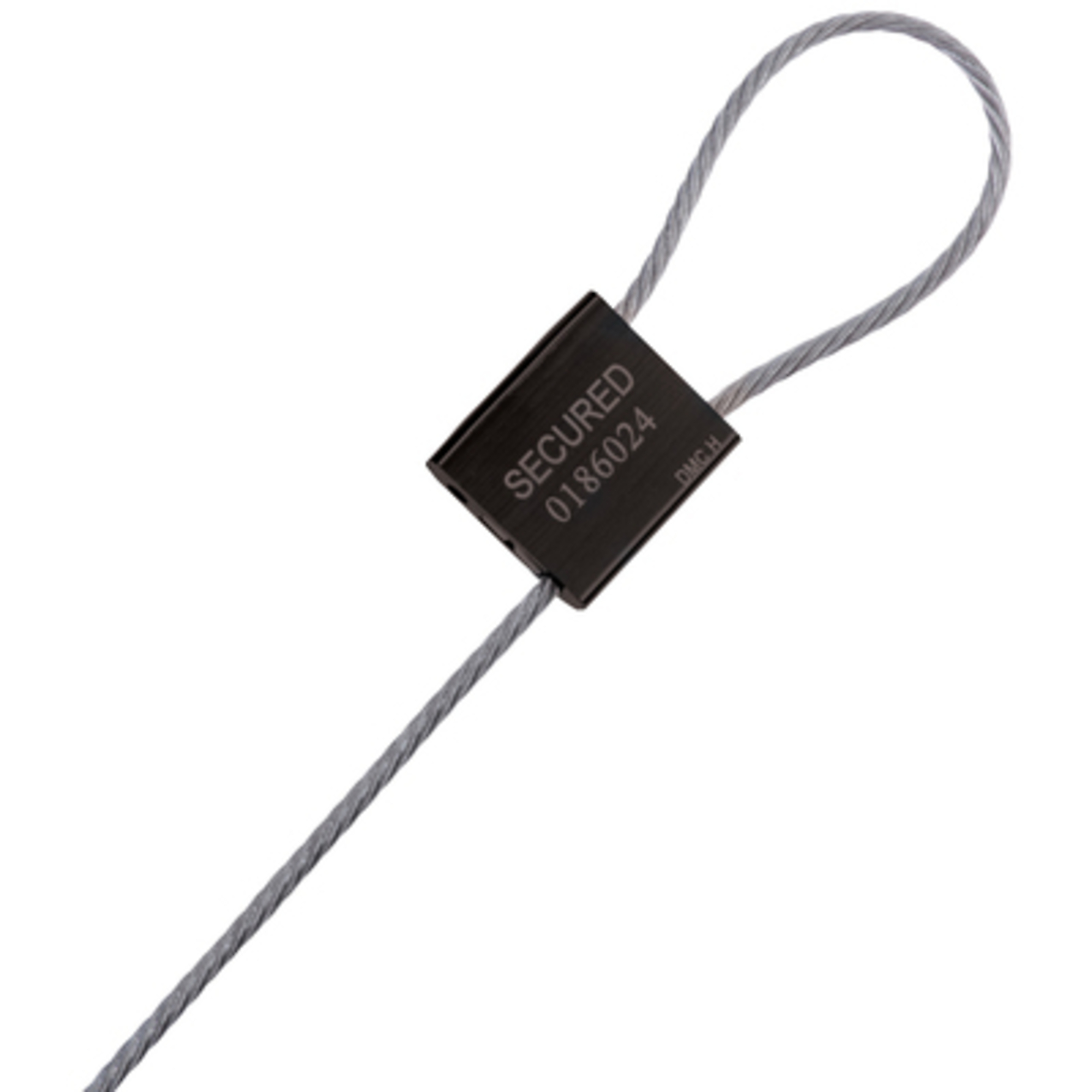 1/8 x 12in. Cable Seals - Black 50/CS, Model# SE1060B