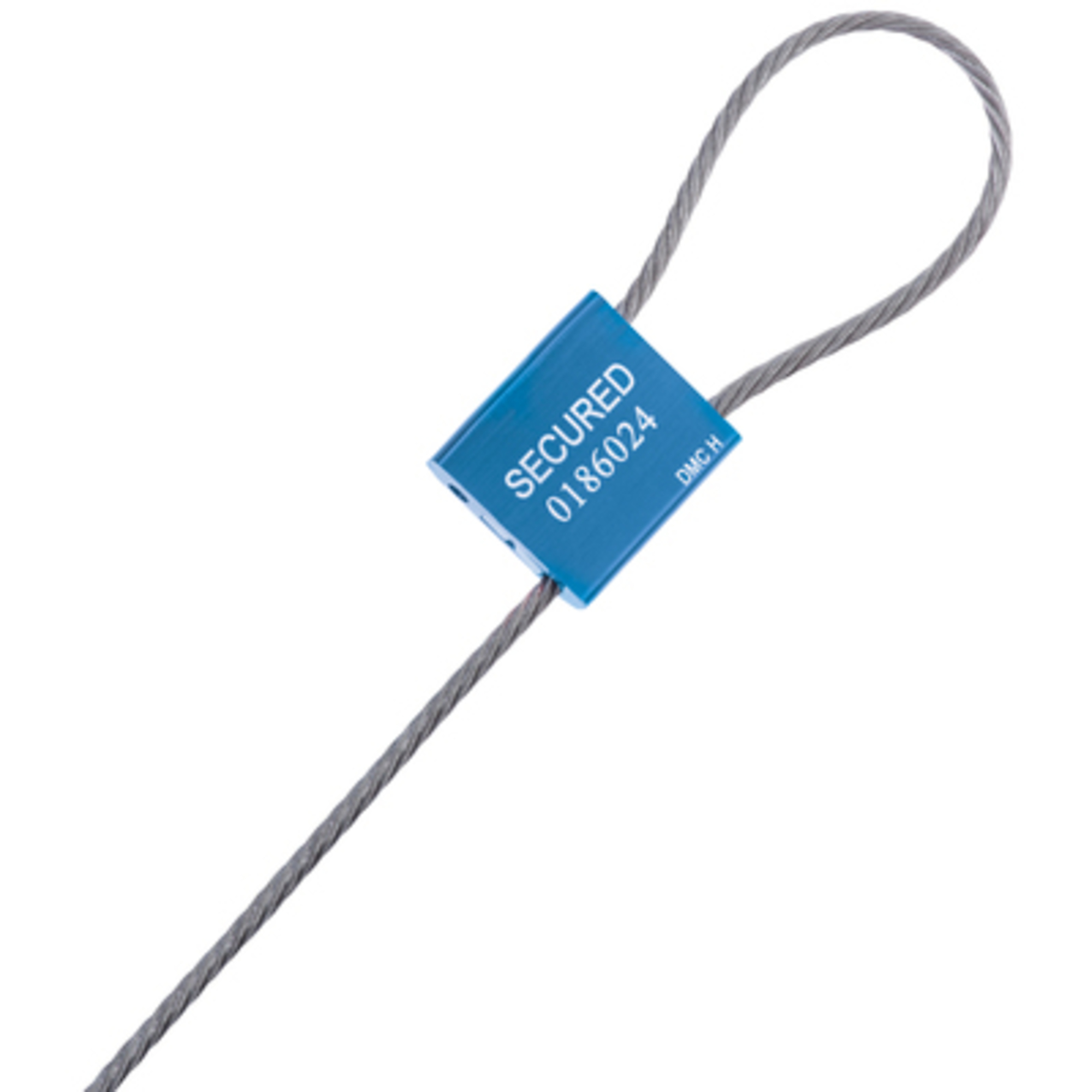1/8 x 12in. Cable Seals - Blue 50/CS, Model# SE1060BL