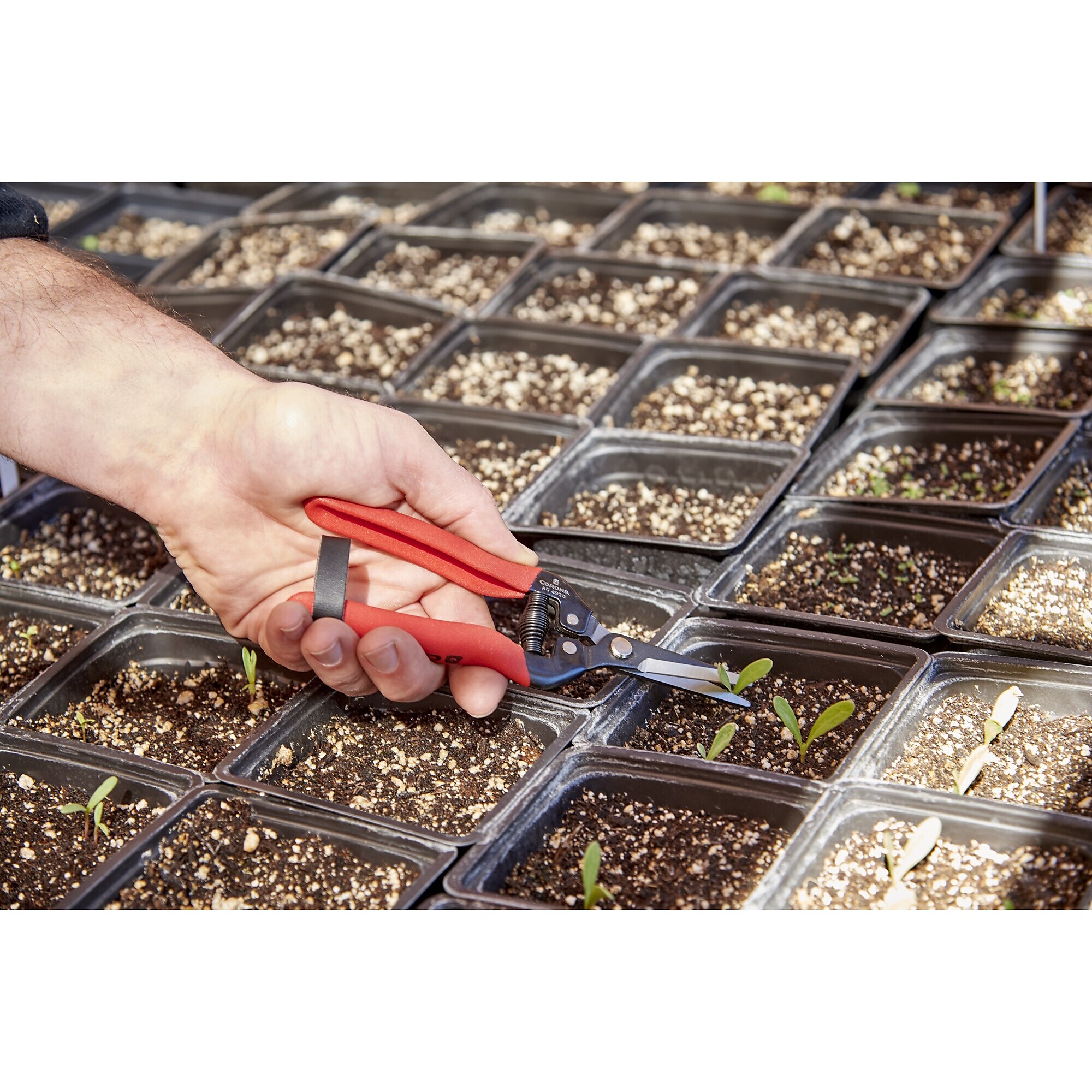 Corona AG 4930 Long Straight Snip - Thumbnail 4