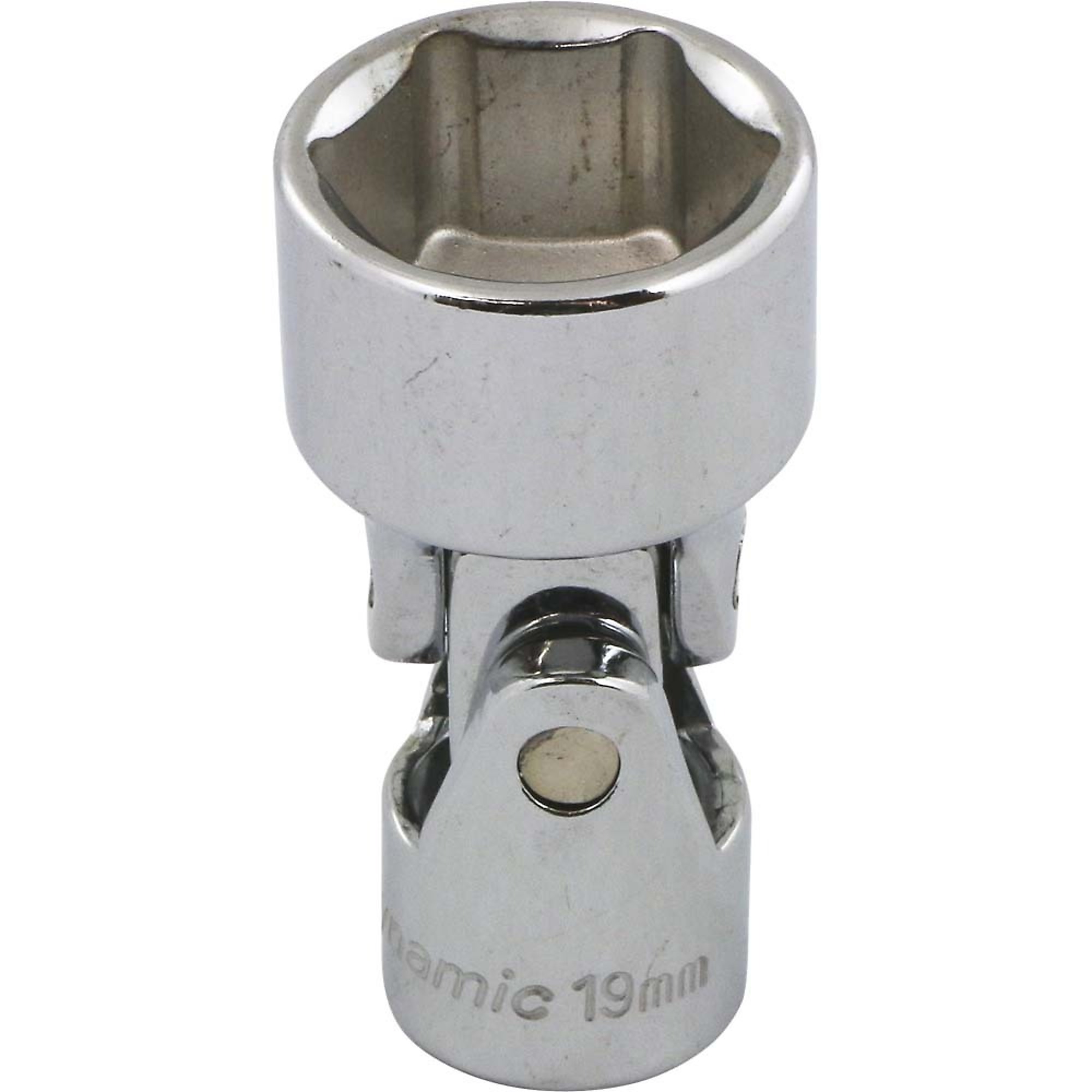 Dynamic Tools Universal Joint Socket — 3/8in. Drive, 6-Point, 19mm, Chrome Finish, Model# D008719
