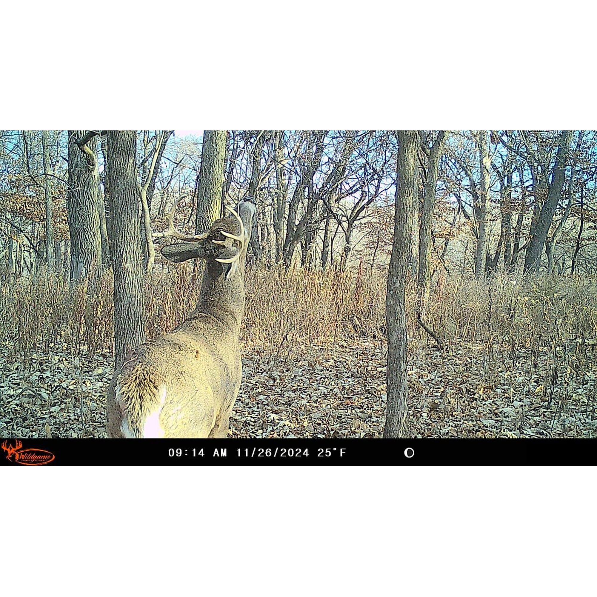 thumbnail 4 of 5
