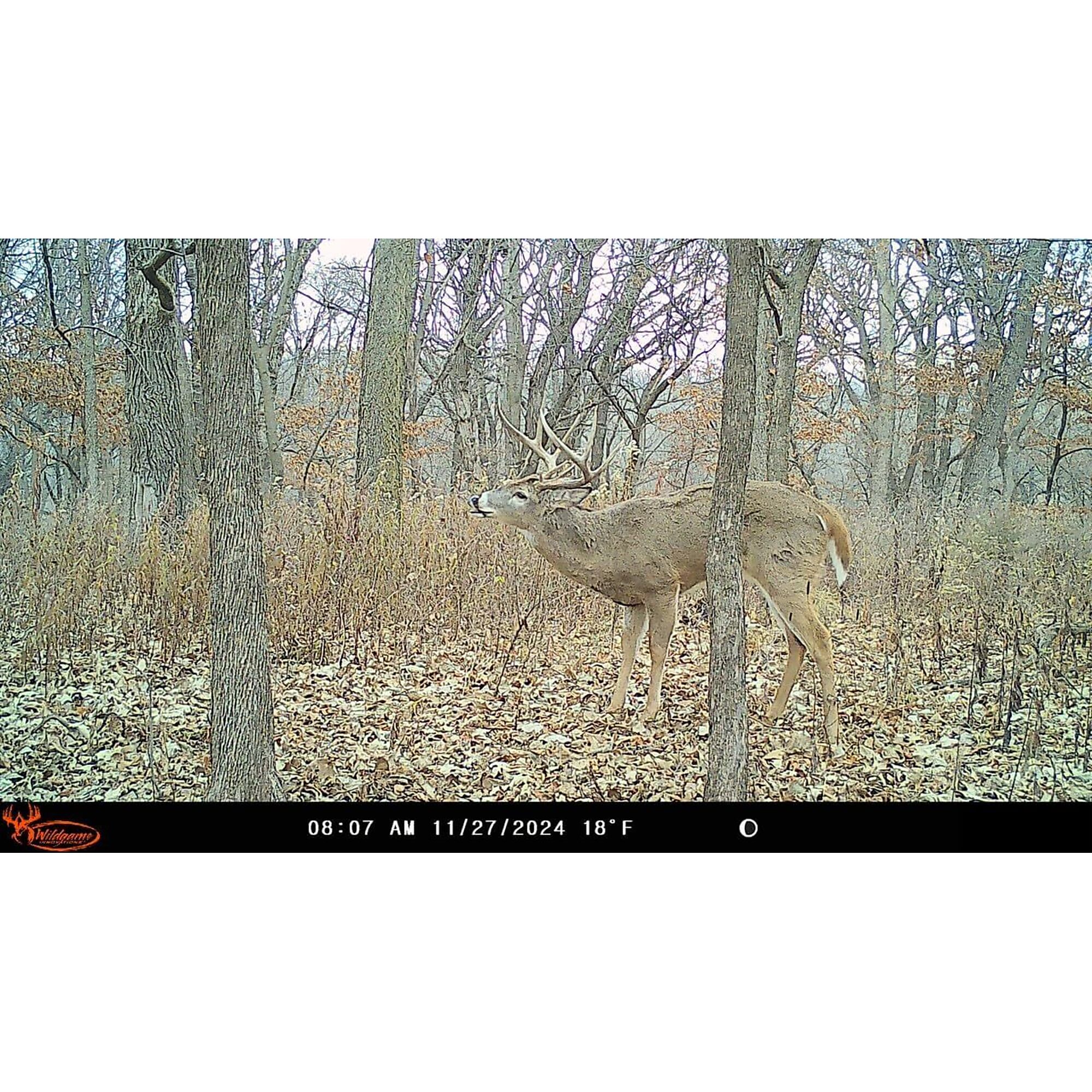thumbnail 5 of 5