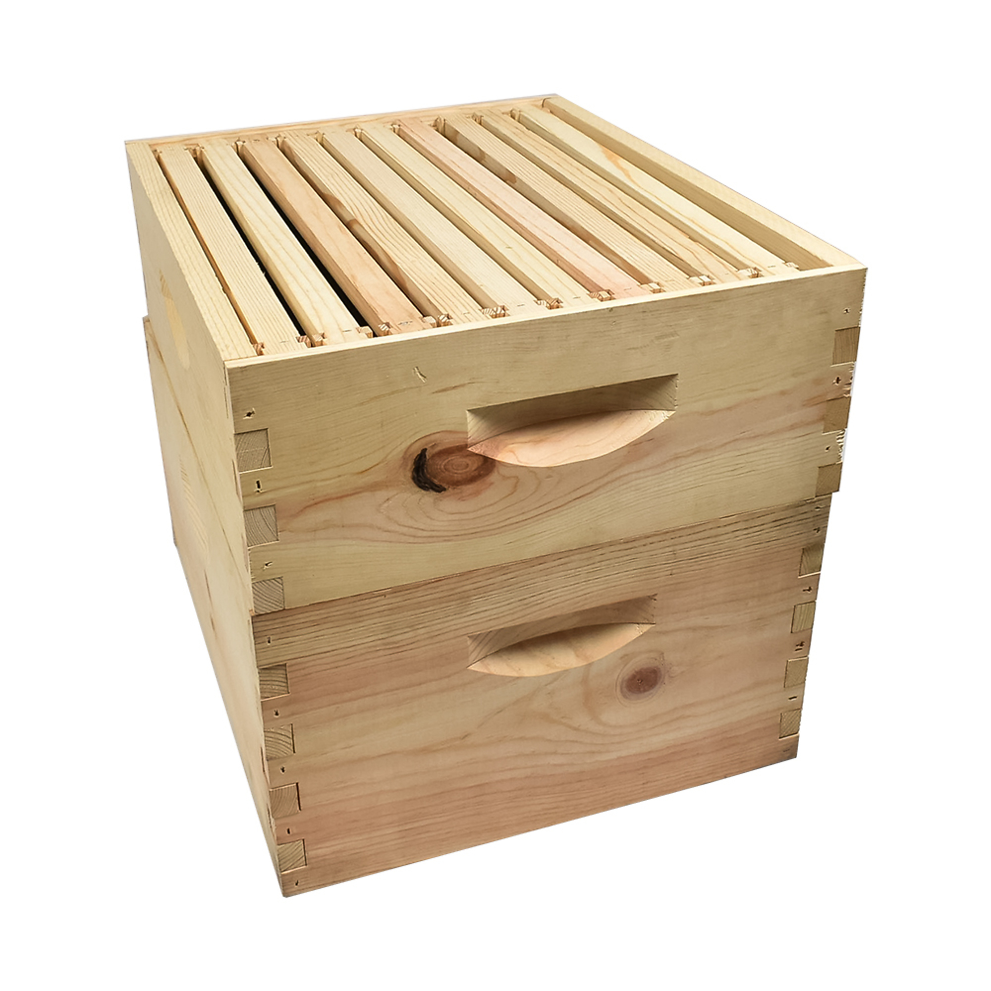 GoodLand Bee Supply GL-E2-2B1SK Beekeeping Double Deep Beehive Kit