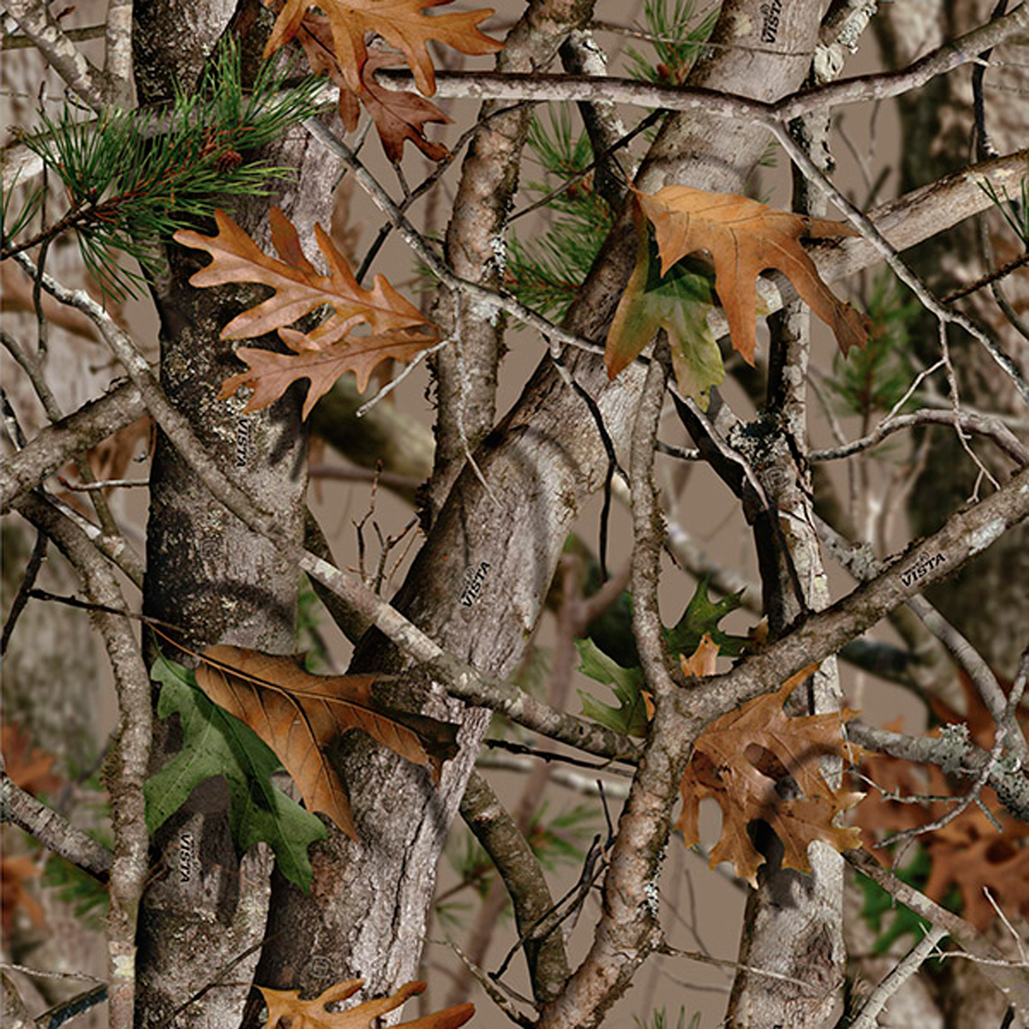 thumbnail 4 of 5