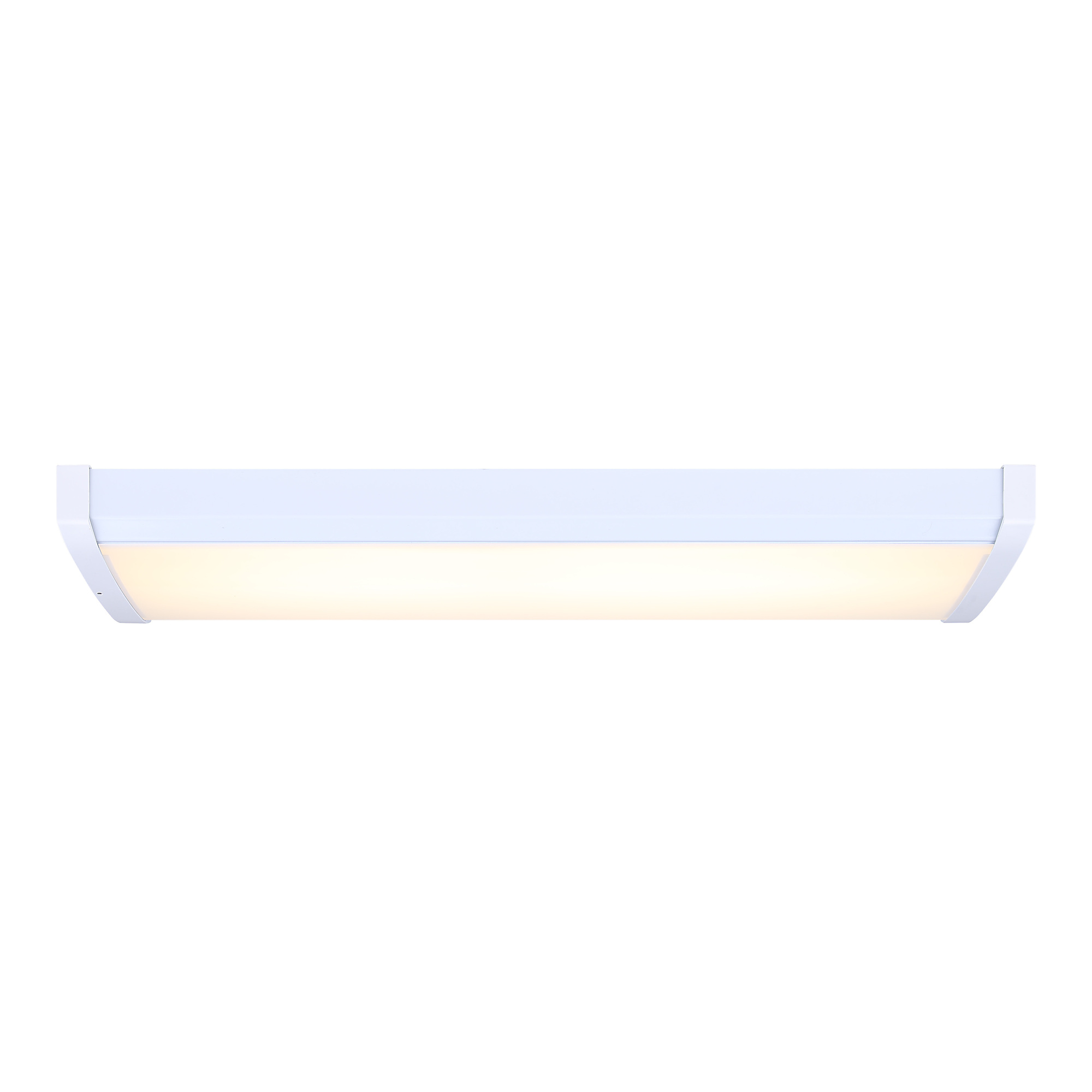 Canarm LED Integrated Utility Light, White Finish, Model LW24A20-MS