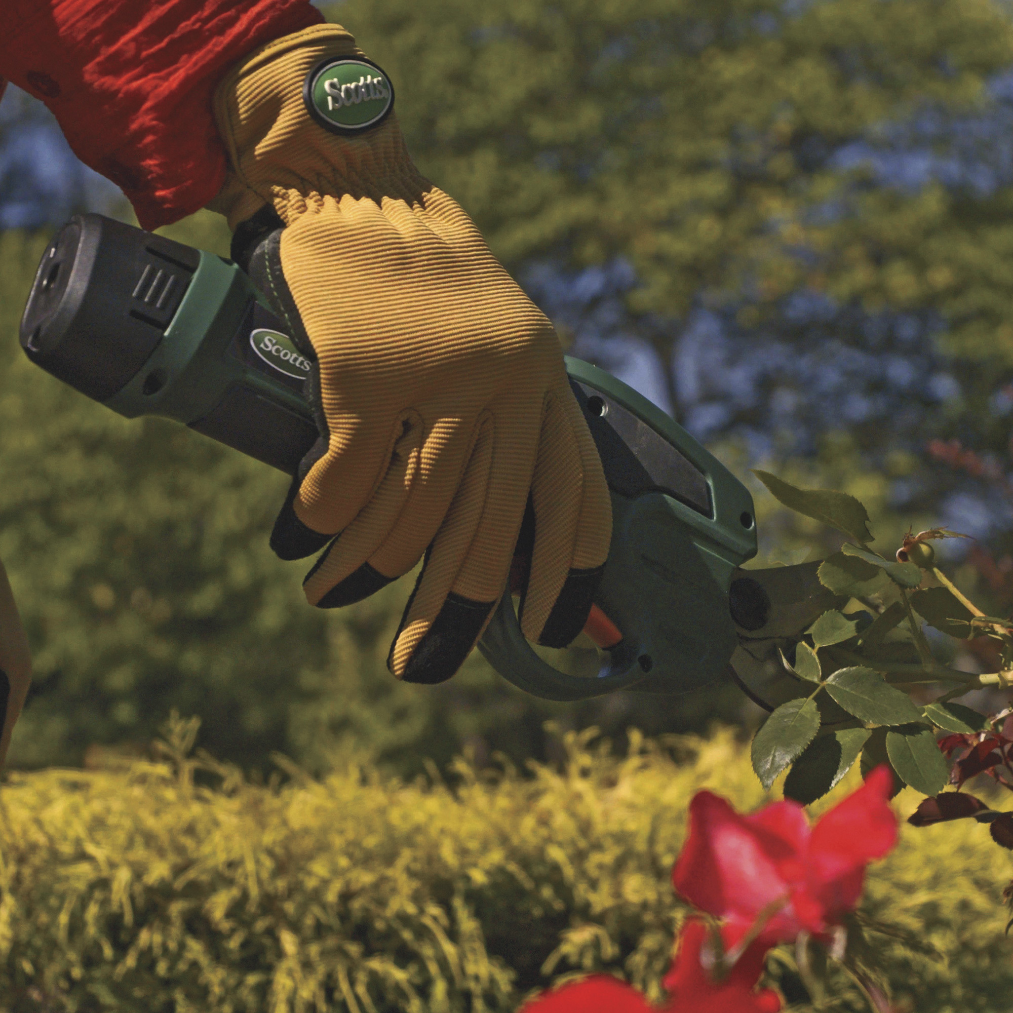 thumbnail 2 of 3