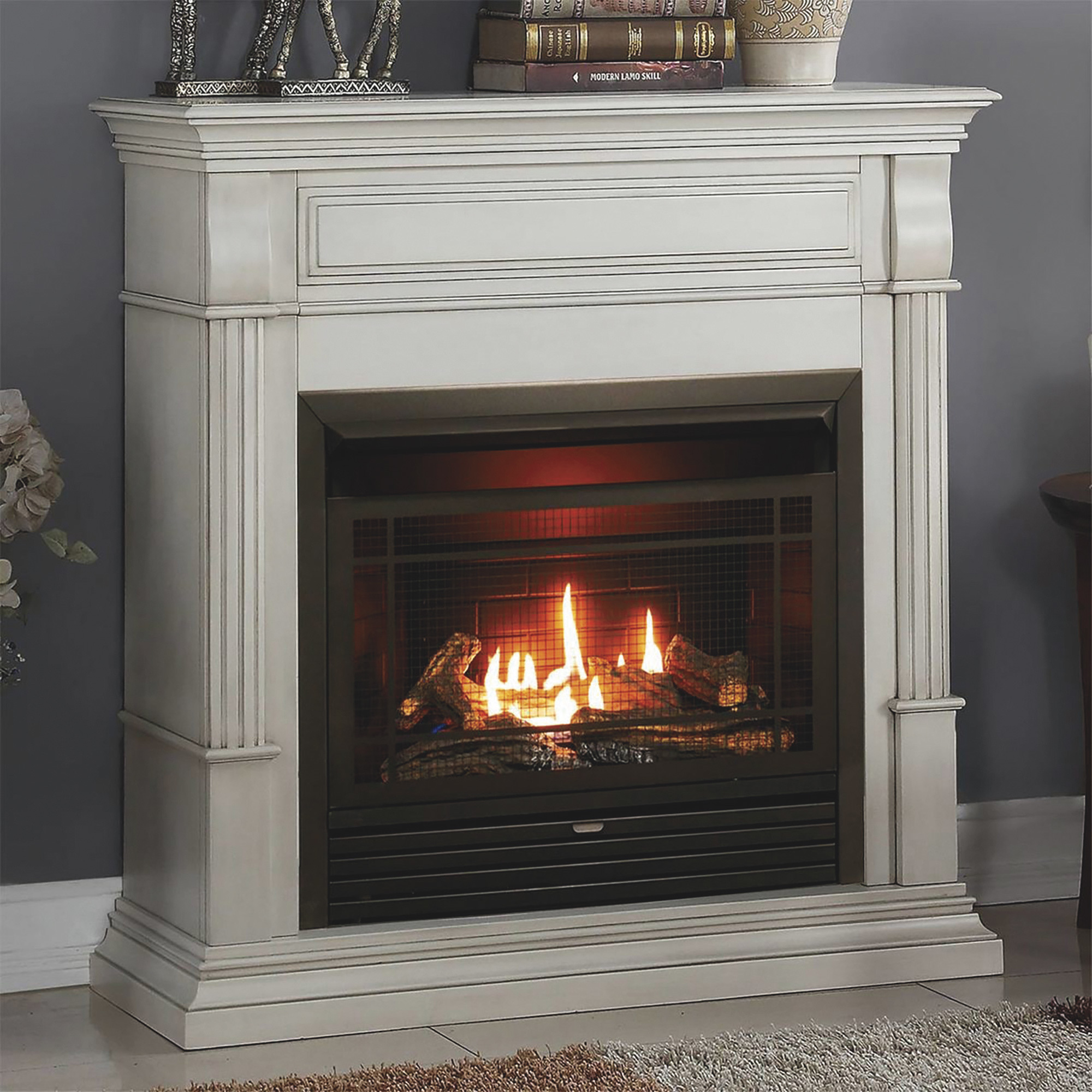Bluegrass Living Vent-Free Dual Fuel Fireplace with Mantel — 26,000 BTU,  Antique White Finish, Remote Control, Model# DFS-300R-2AW | Northern Tool