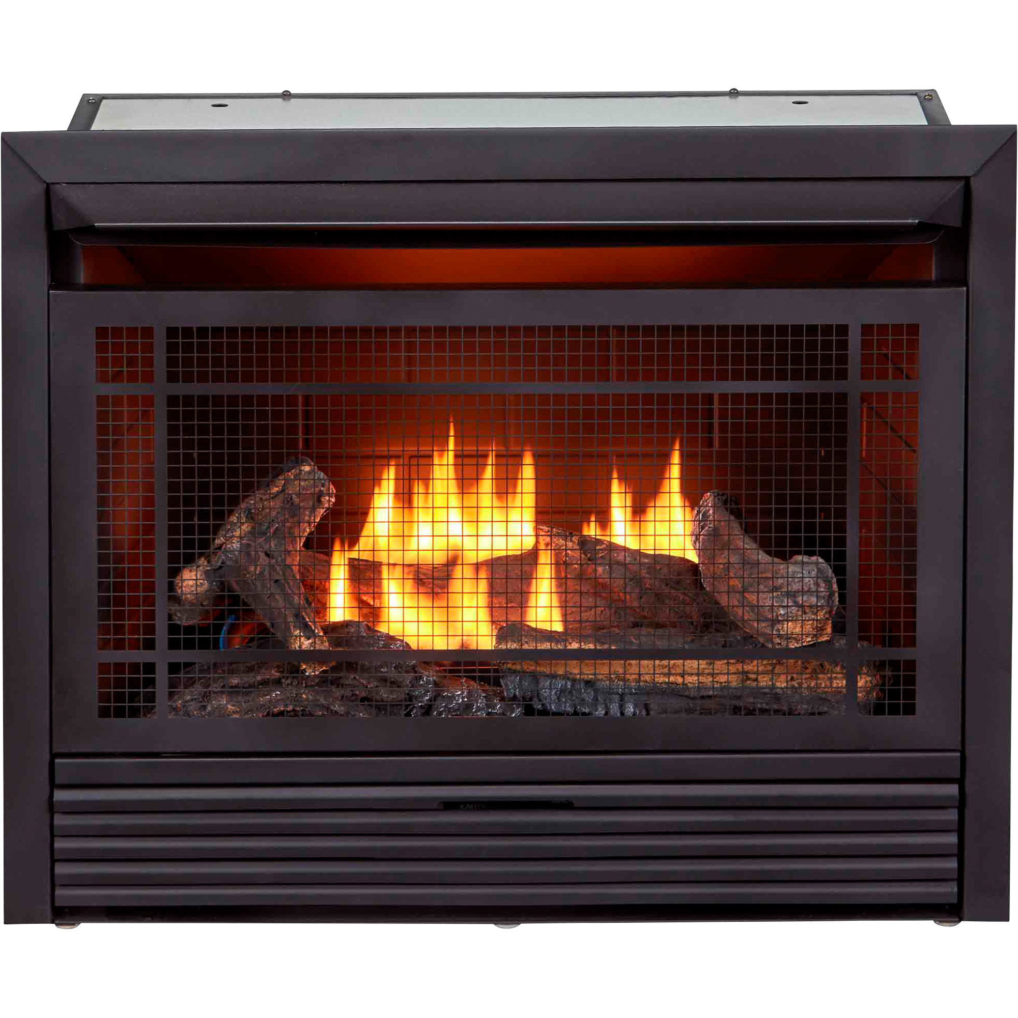 Bluegrass Living Vent-Free Dual Fuel Fireplace Insert, 26,000 BTU ...