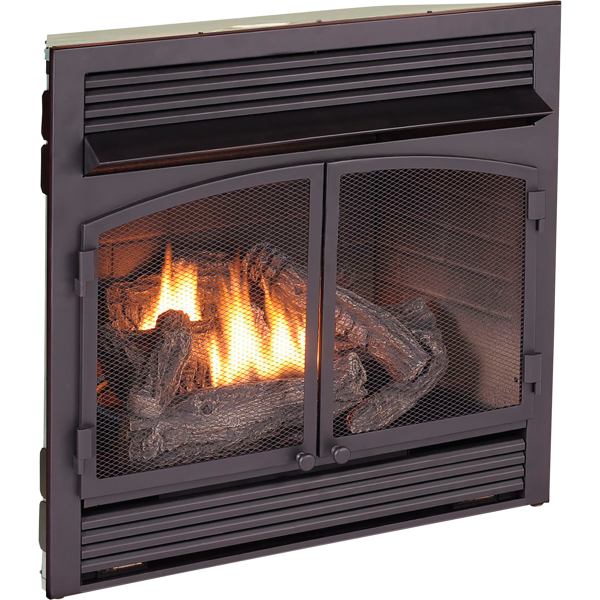 Bluegrass Living Vent-Free Dual Fuel Fireplace Insert — 32,000 BTU ...