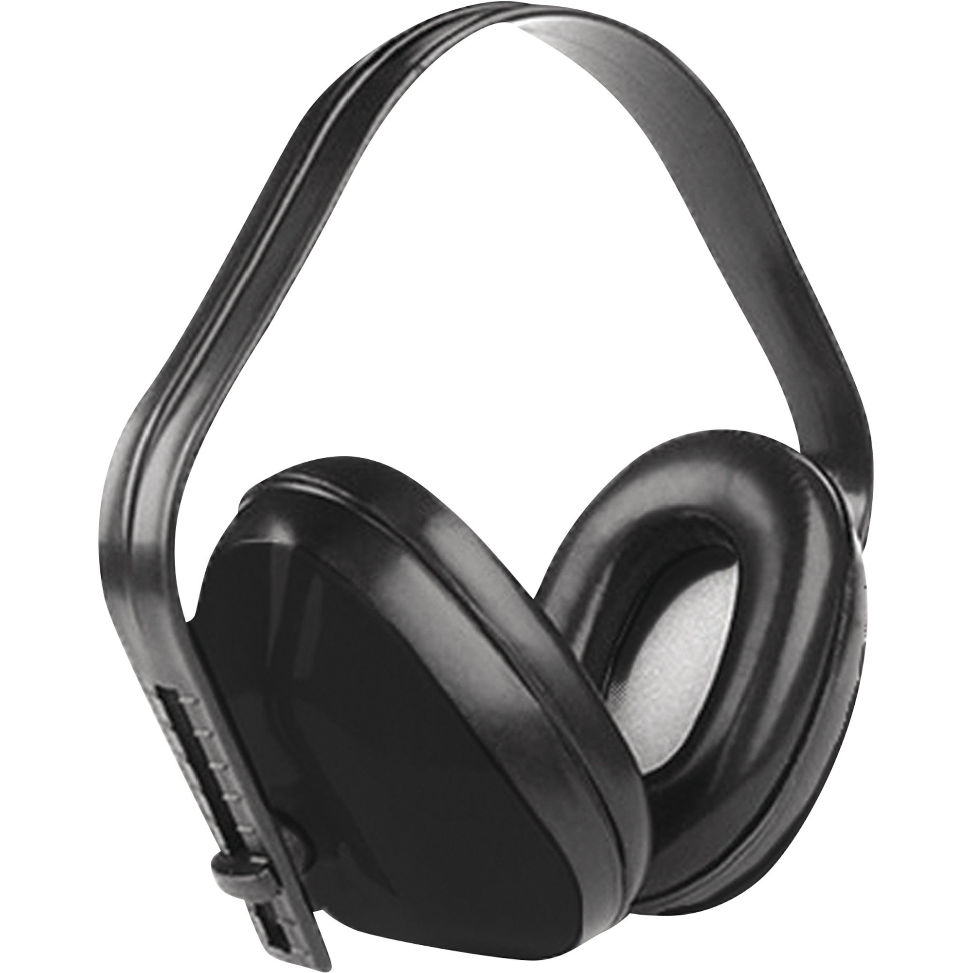 Forester Safety Combo Kit — Black, N95 Mask, N95 Respirator, 28dB Ear Muffs, ANSI Goggles