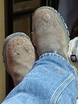 Irish Setter Waterproof Wellington Steel Toe Boots