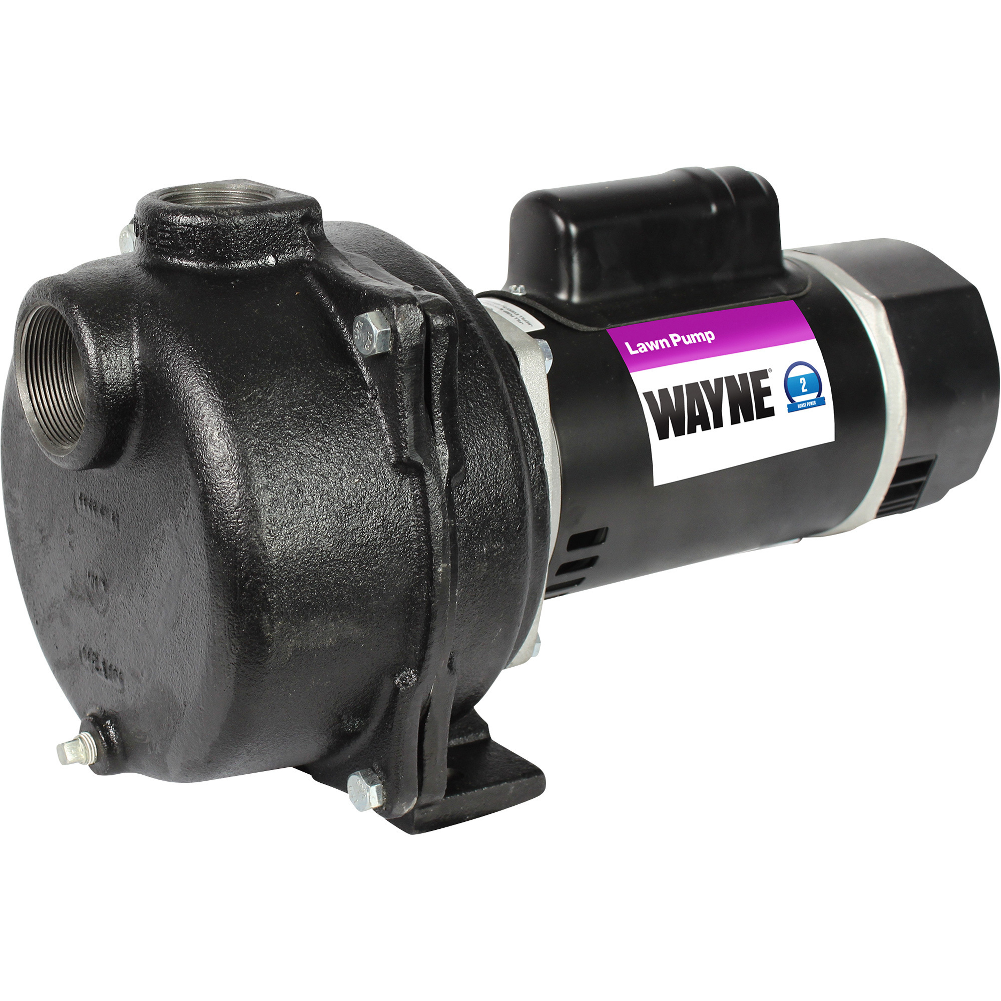 Wayne Self-Priming Centrifugal Cast Iron Lawn Sprinkler Water Pump â 5,300 GPH, 2 HP, 2Inch, Model WLS200