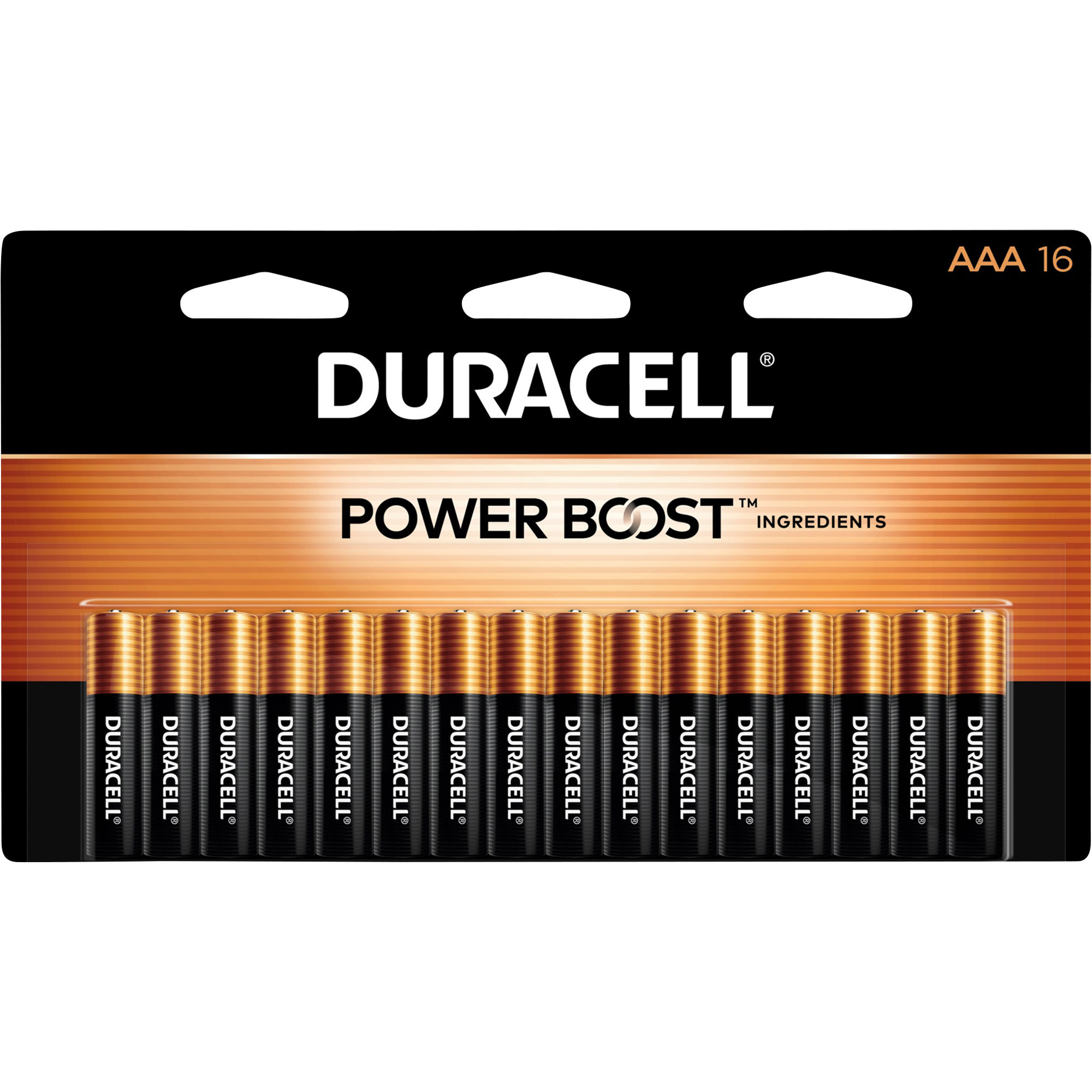 Duracell Coppertop AAA Alkaline Batteries â 16-Pack