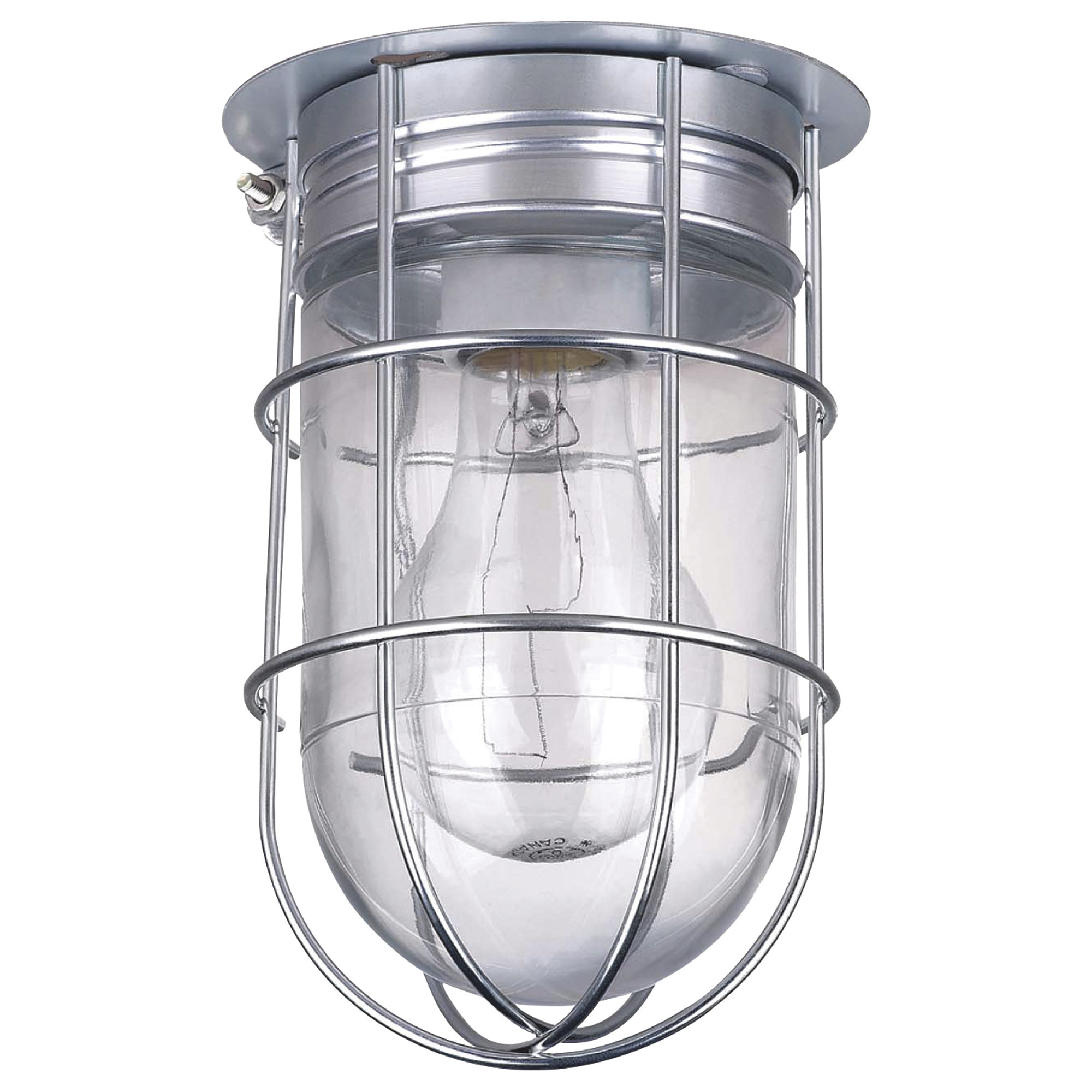 Canarm Ceiling/Wall Outdoor/Indoor Barn Light with Cage, 4.5Inch Diameter, 100 Watts, Model BL04CWG