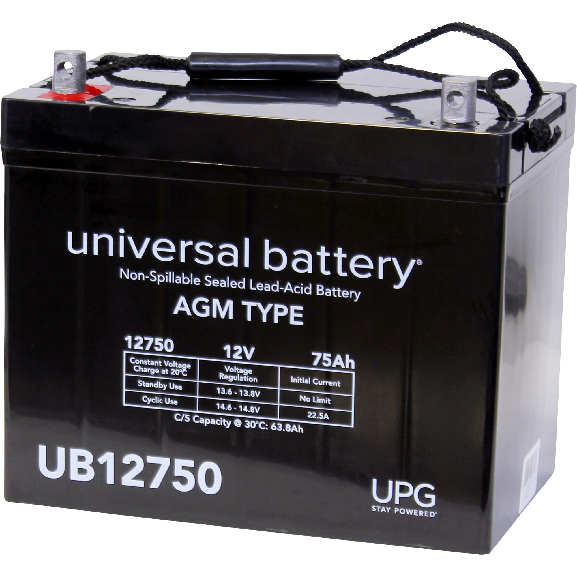 UPG Sealed Lead-Acid Battery — AGM-type, 12V, 75 Amps, Model UB12750 -  45821