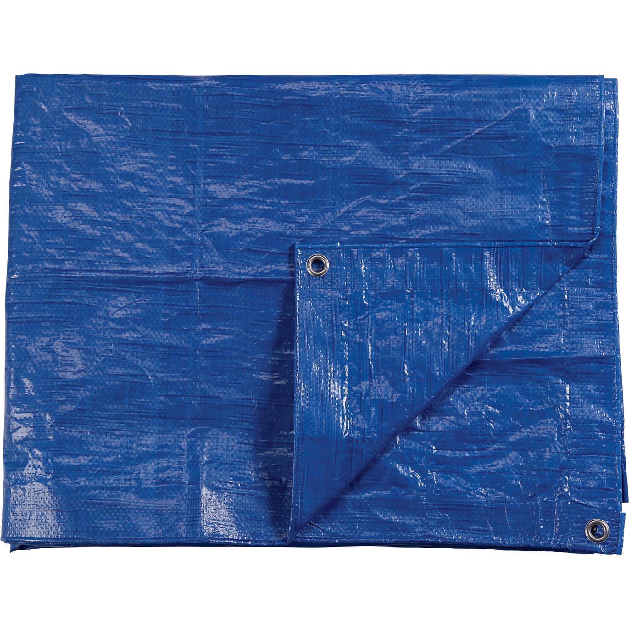 Roughneck 2.2-Oz. Medium-Duty Tarp, Blue, 20ft. x 30ft.