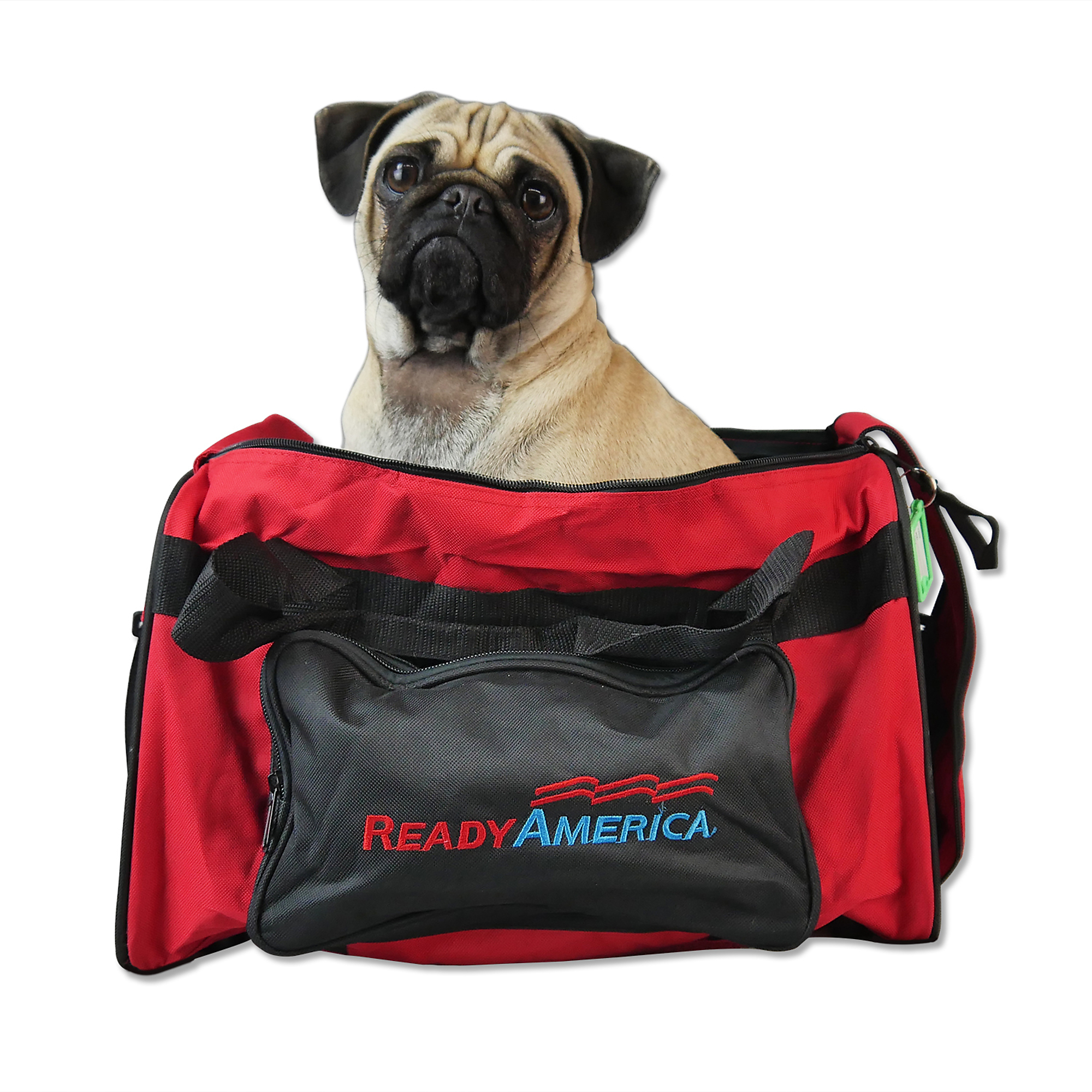 Ready America, 1 Small Dog, 3 Day, Evacuation Kit, Pieces (qty.) 25, Model 77150