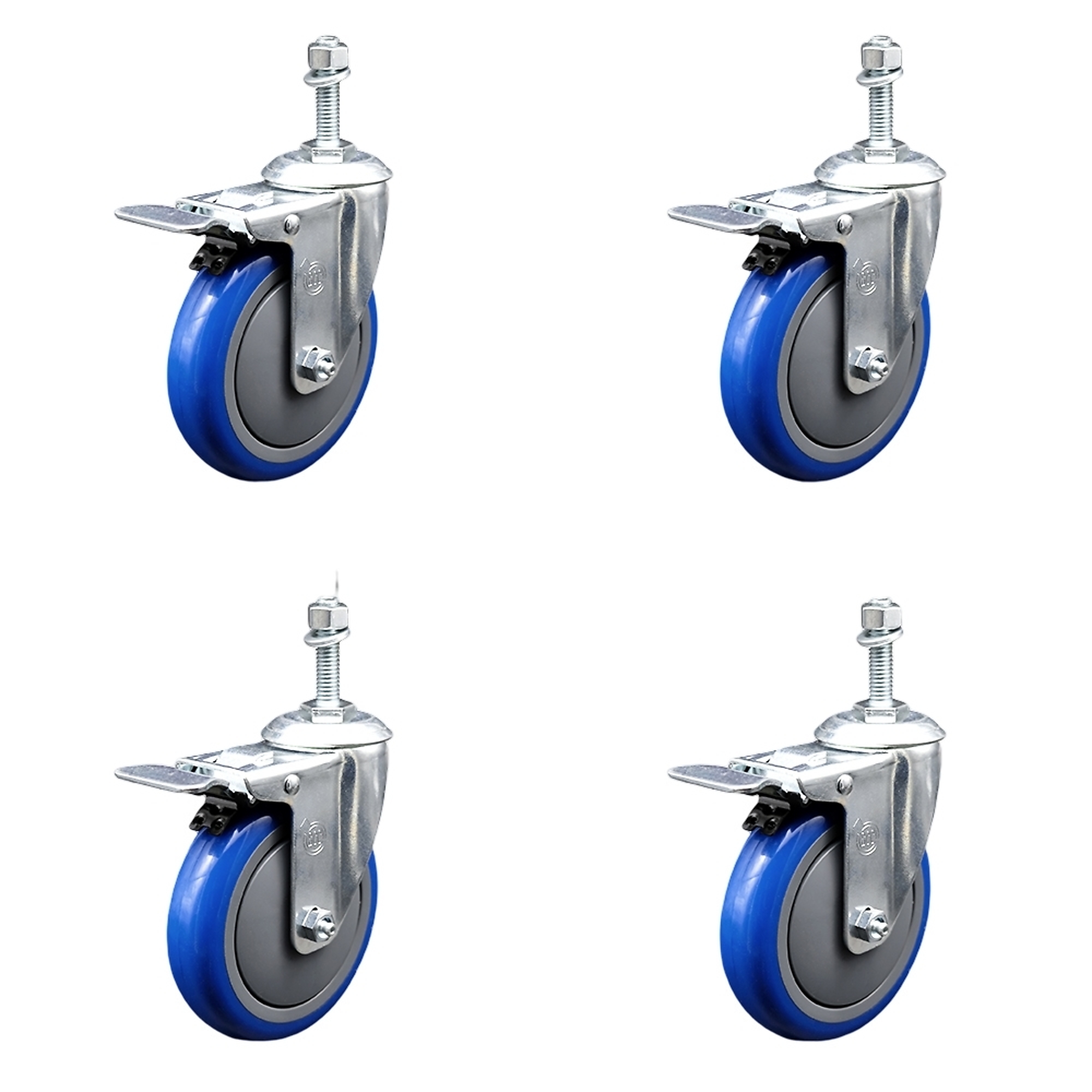 Service Caster, 5Inch x 1 1/4Inch Stem Casters, Wheel Diameter 5 in, Caster Type Swivel, Package (qty.) 4, Model SCC-SSTSTTL20S514-PPUB-BLUE-381615-4