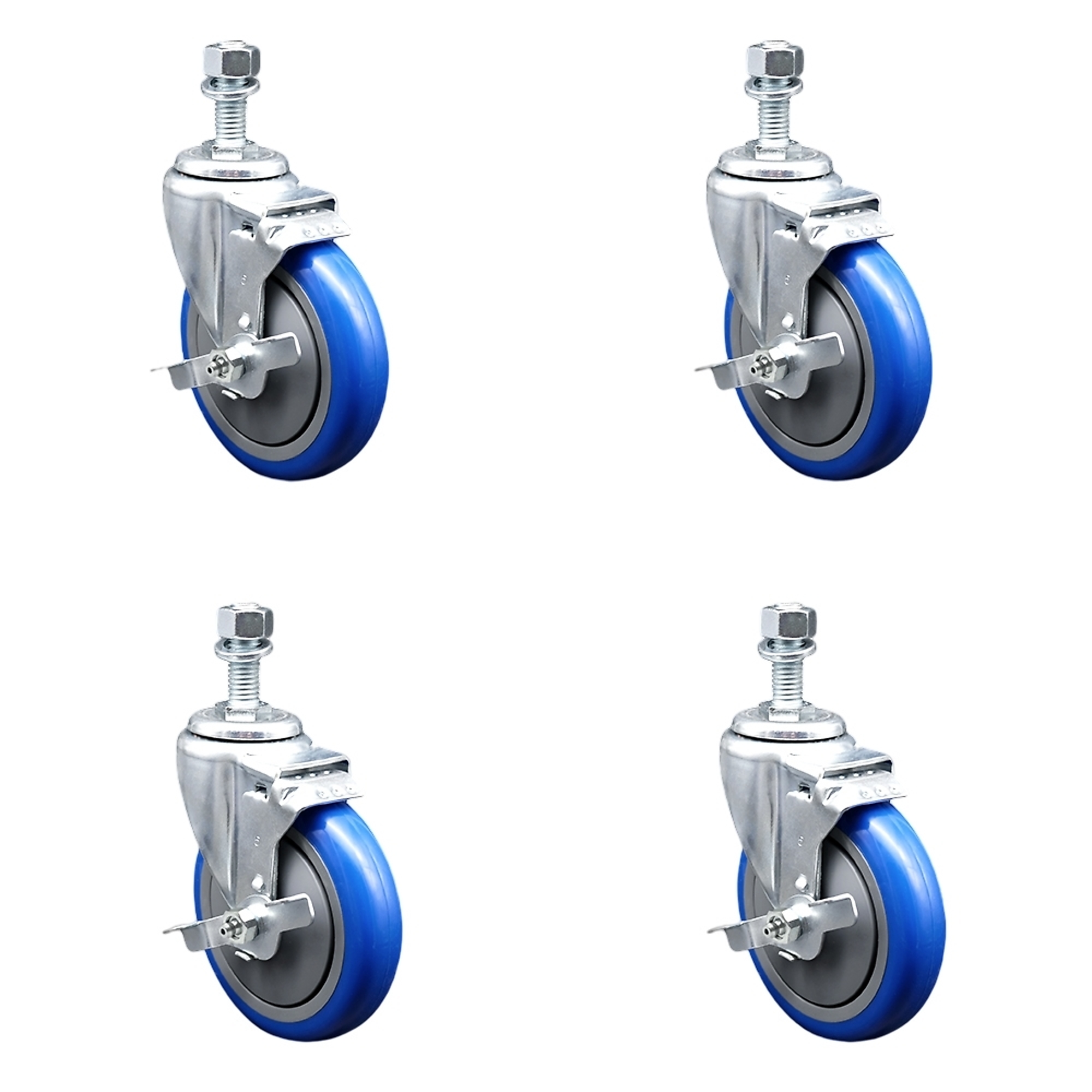 Service Caster, 5Inch x 1 1/4Inch Stem Casters, Wheel Diameter 5 in, Caster Type Swivel, Package (qty.) 4, Model SCC-SSTS20S514-PPUB-BLUE-TLB-M1215-4