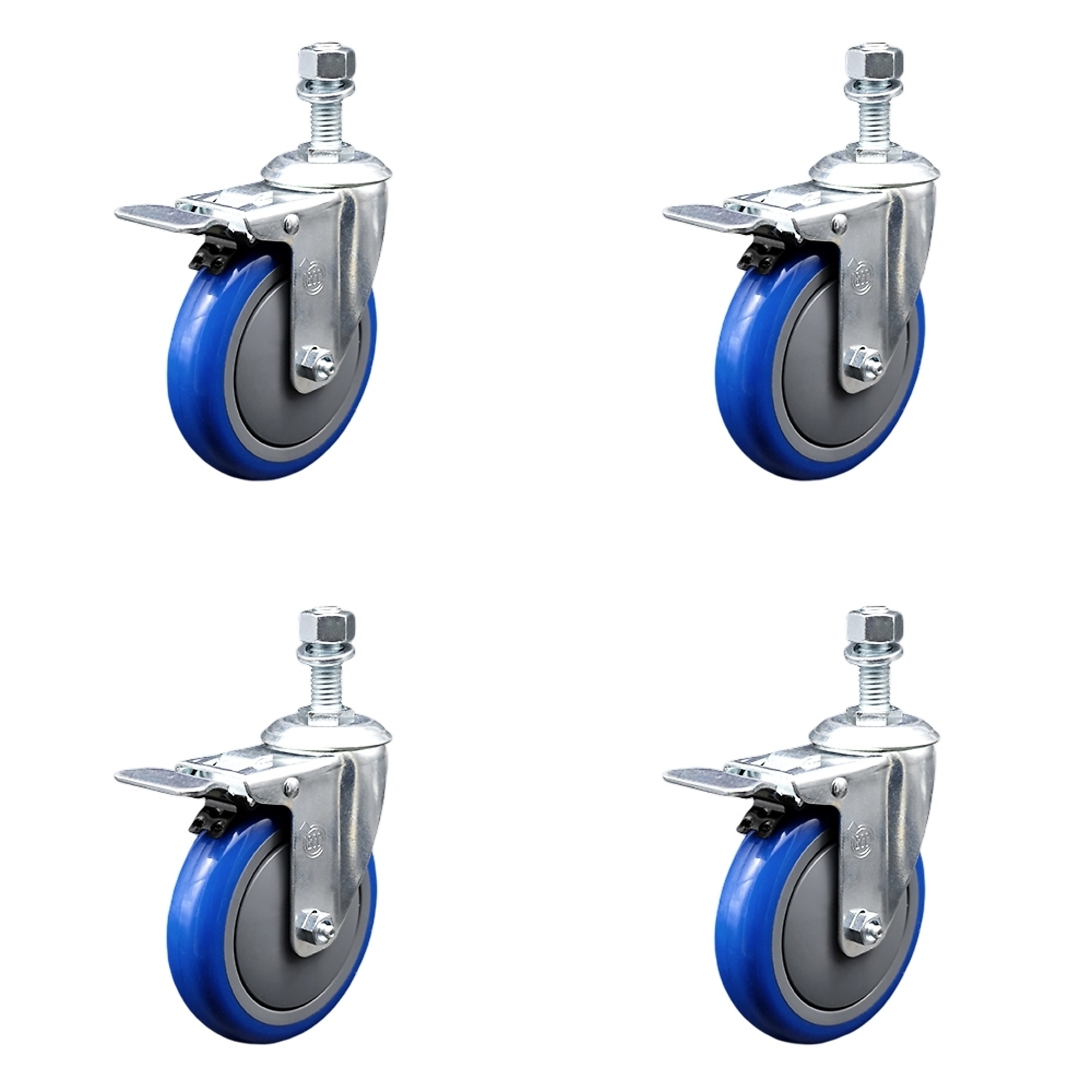 Service Caster, 5Inch x 1 1/4Inch Stem Casters, Wheel Diameter 5 in, Caster Type Swivel, Package (qty.) 4, Model SCC-SSTSTTL20S514-PPUB-BLUE-M1215-4