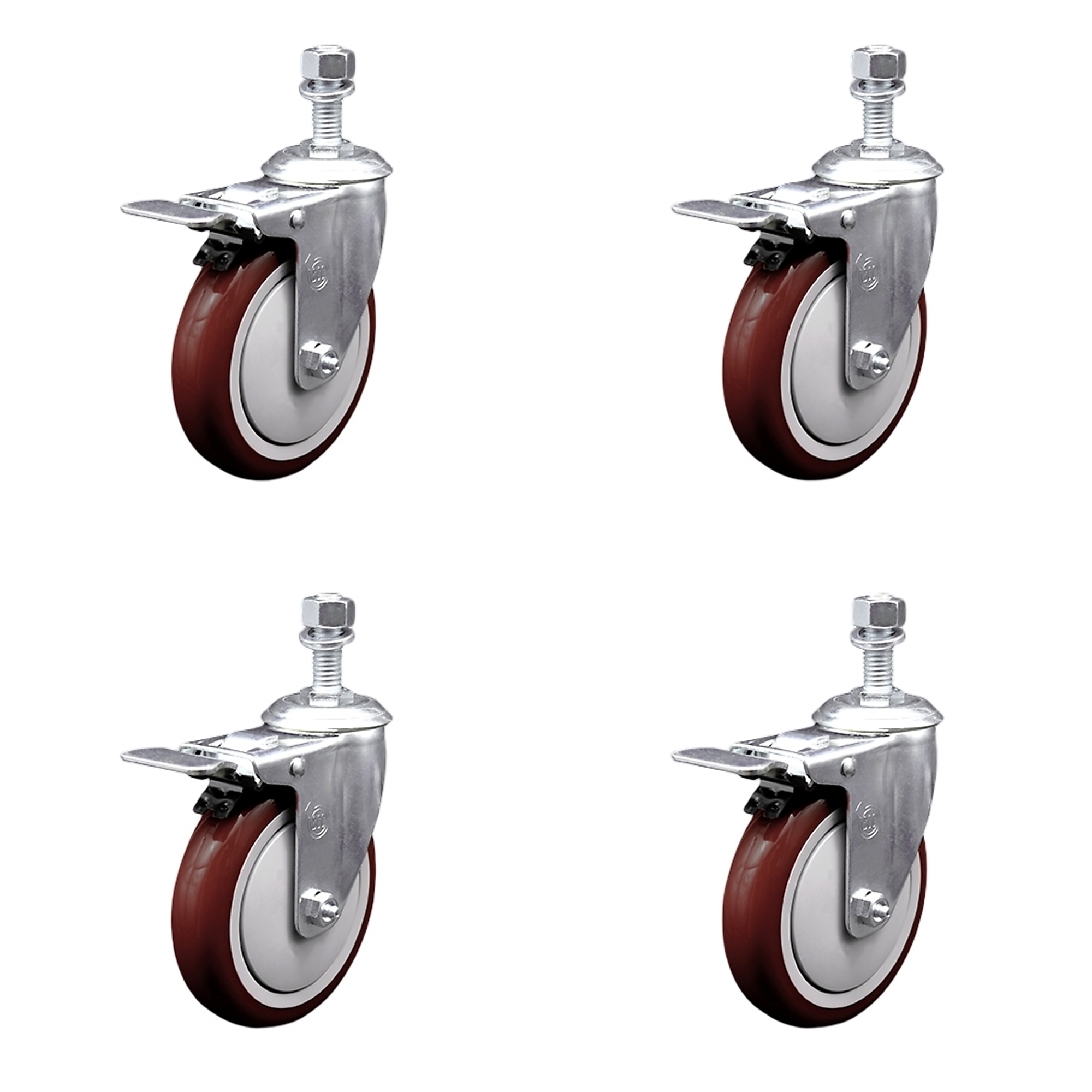 Service Caster, 5Inch x 1 1/4Inch Stem Casters, Wheel Diameter 5 in, Caster Type Swivel, Package (qty.) 4, Model SCC-SSTSTTL20S514-PPUB-MRN-121315-4