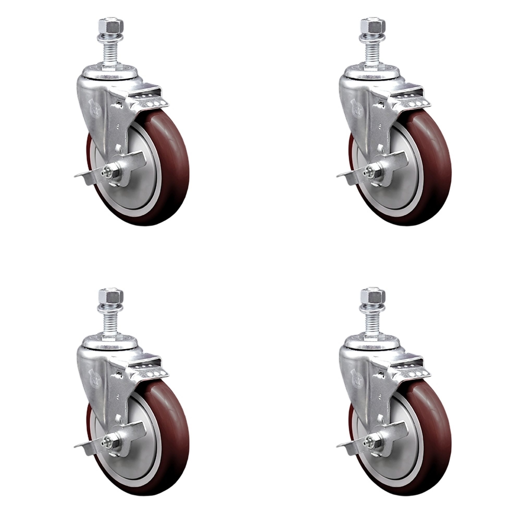 Service Caster, 5Inch x 1 1/4Inch Stem Casters, Wheel Diameter 5 in, Caster Type Swivel, Package (qty.) 4, Model SCC-TS20S514-PPUB-MRN-TLB-121315-4