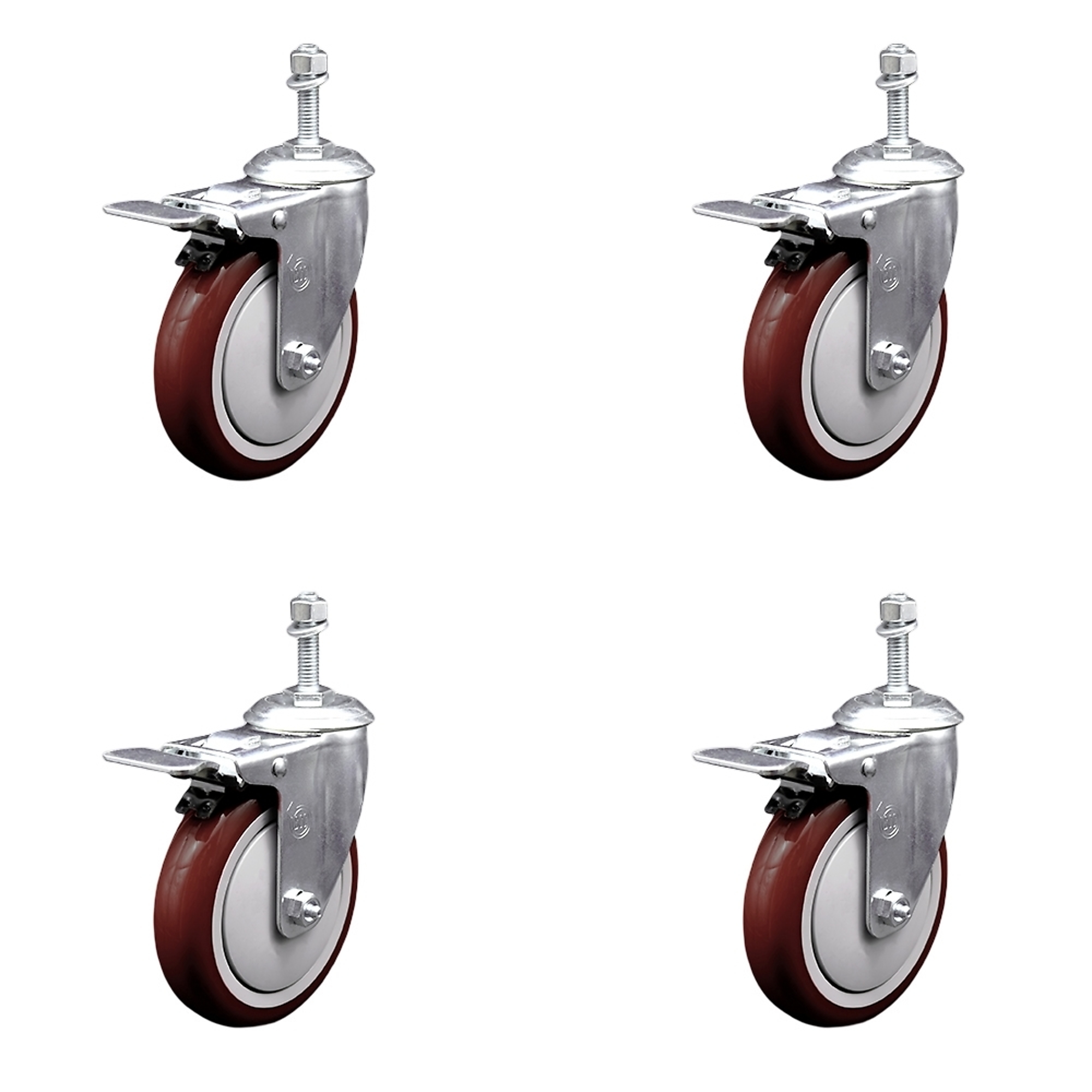 Service Caster, 5Inch x 1 1/4Inch Stem Casters, Wheel Diameter 5 in, Caster Type Swivel, Package (qty.) 4, Model SCC-SSTSTTL20S514-PPUB-MRN-381615-4