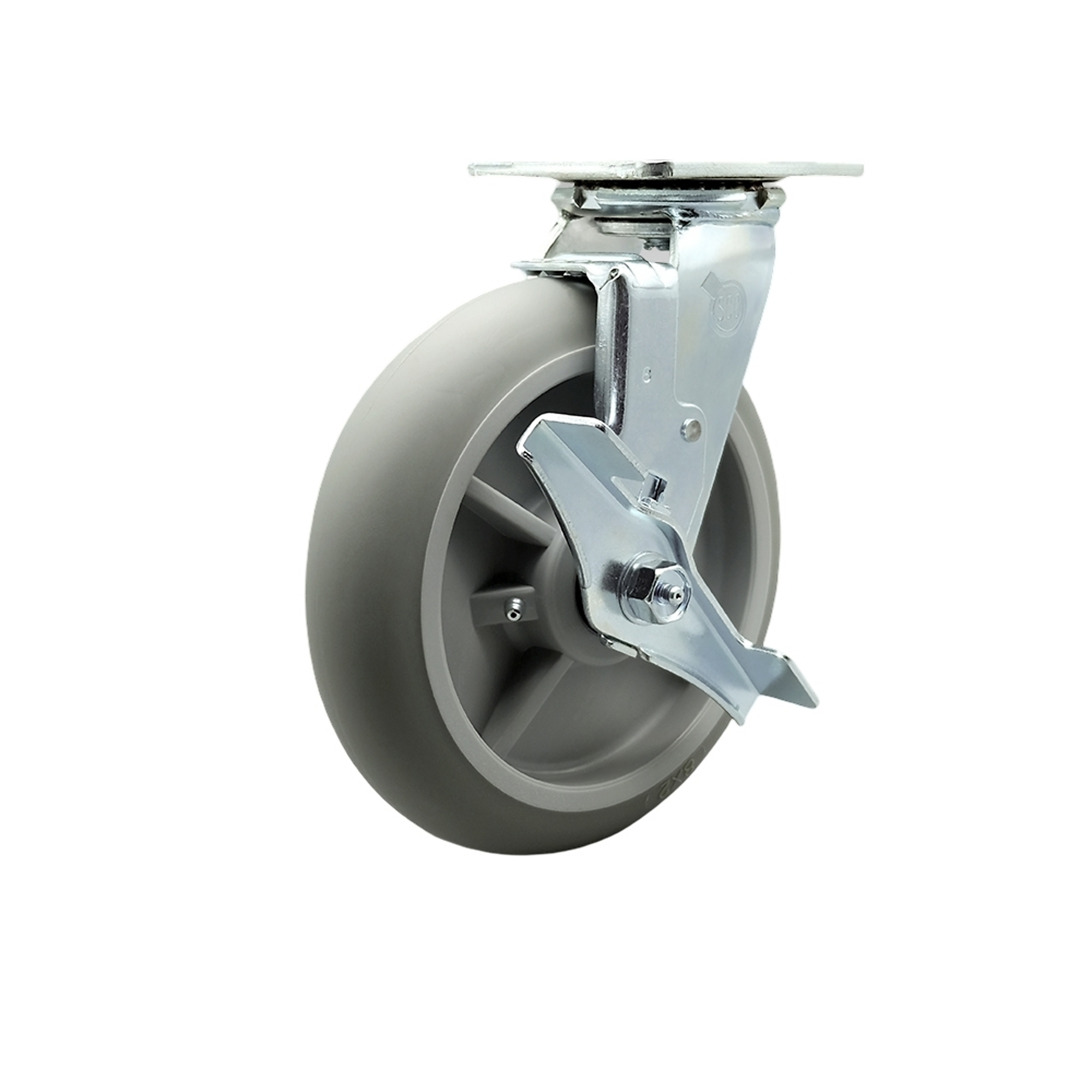 Service Caster, 8Inch x 2Inch Plate Caster, Wheel Diameter 8 in, Caster Type Swivel, Package (qty.) 1, Model SCC-SS30S820-TPRBD-TLB